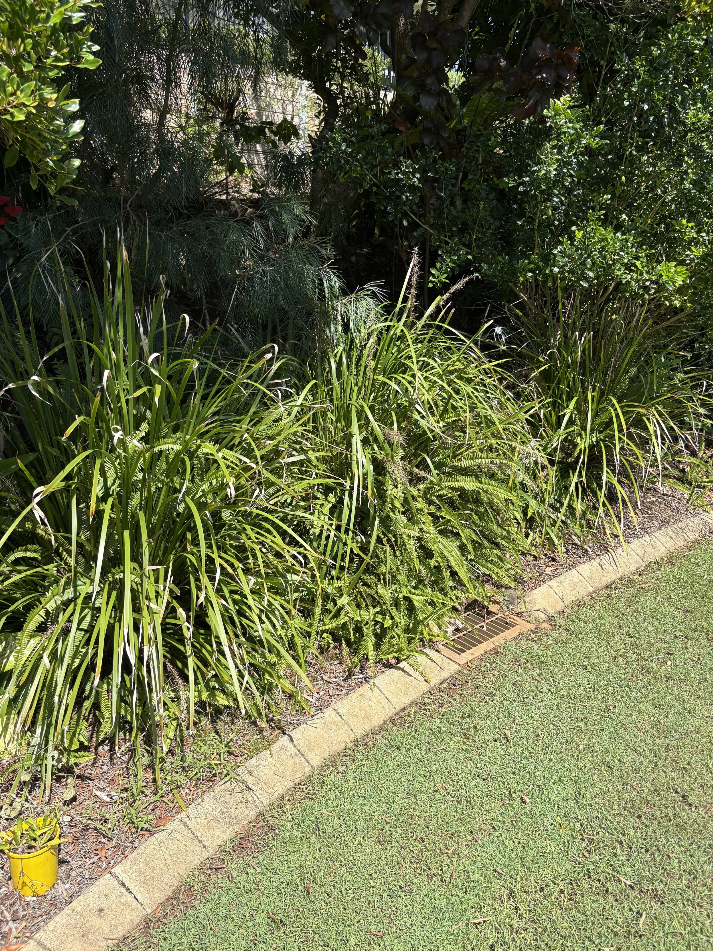 A garden bed with green plants and ferns along a brick border, next to a grassy lawn.