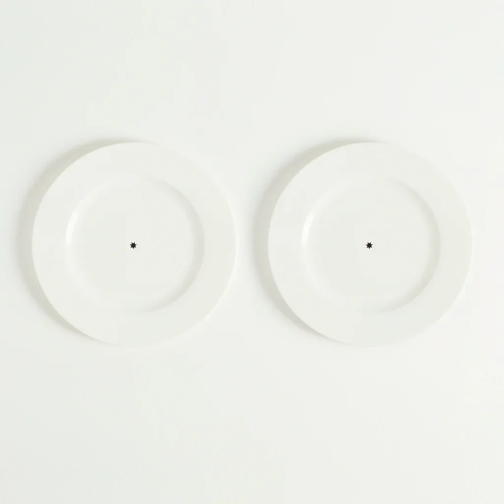 MaisonBalzac_TheStarDinnerPlatesSetof2_Bone_1_2048x.jpg.webp