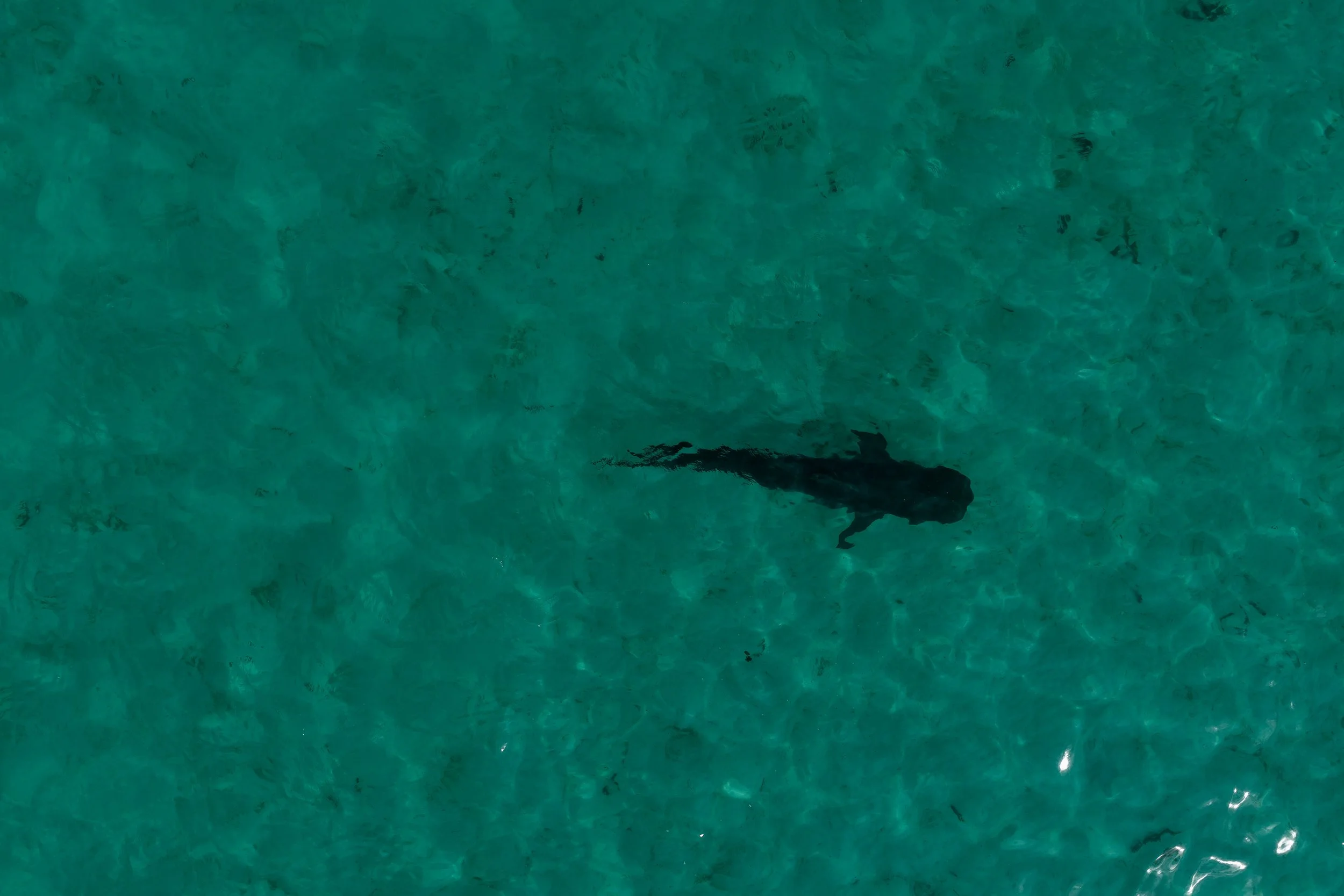 DJI_20260514134444_0142_D.jpeg