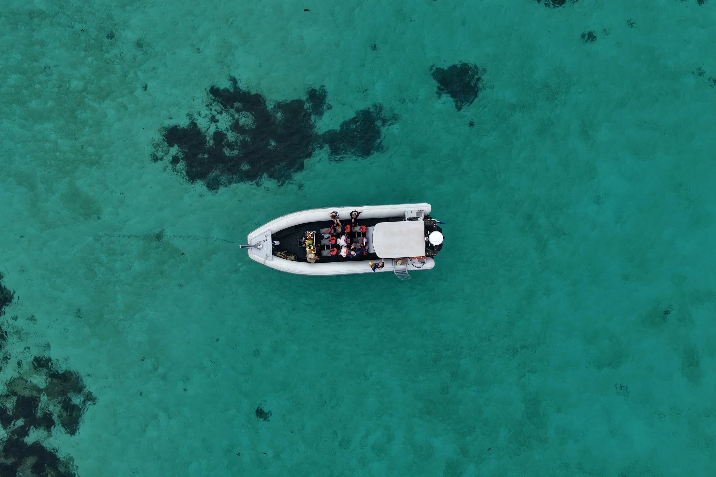 DJI_20260514132432_0128_D.jpeg