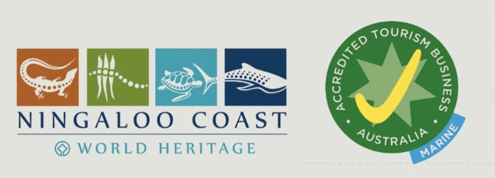 Ningaloo Coast World Heritage logo with four icons of marine life and an Accredited Tourism Business Australia Marine certification with a yellow check mark.