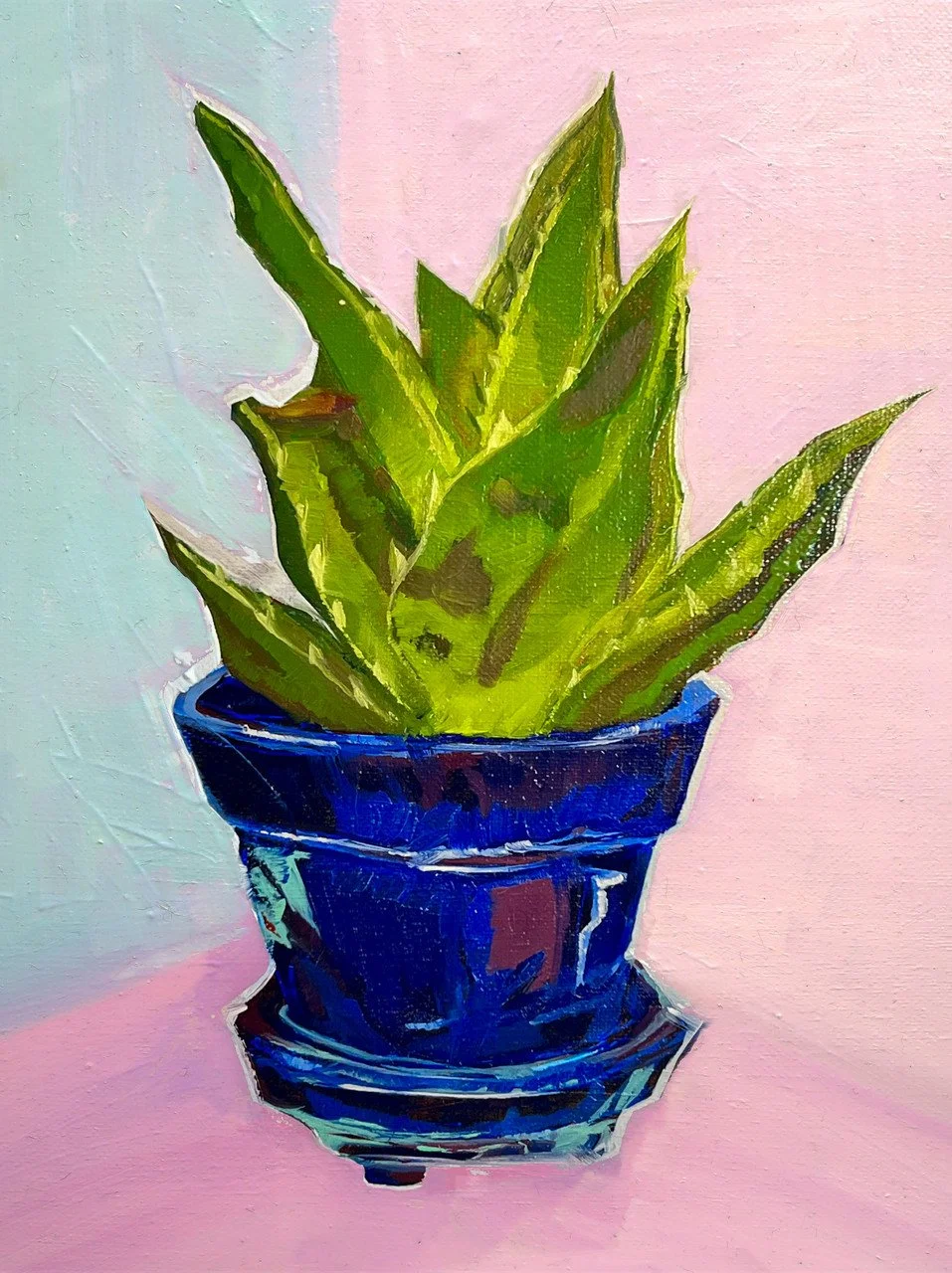 McClinton_Offere Aloe Vera_2024_16x12.png.jpg