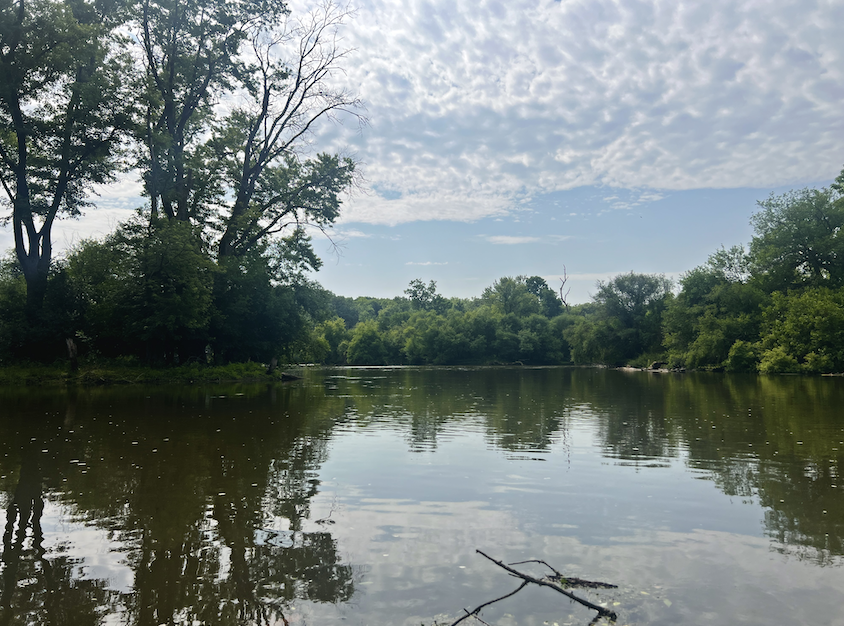 searching for composure