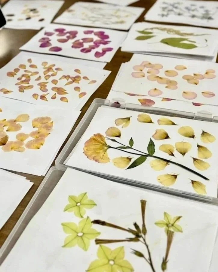 Various sheets of paper with pressed flower arrangements on a table. The flowers include pink, yellow, green, and mixed-colored petals and leaves.