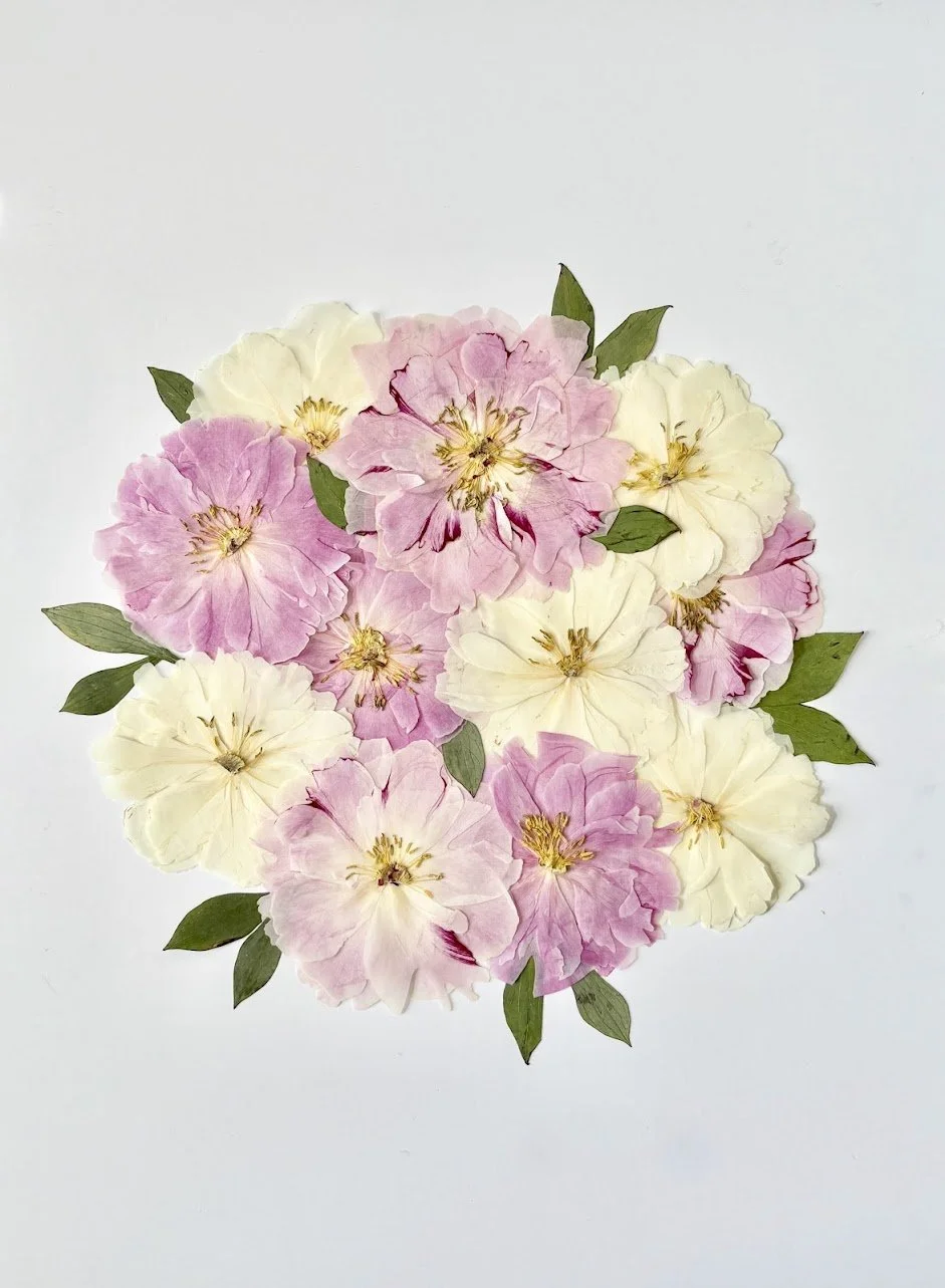 Gathering of pink and white flowers with green leaves on a white background.