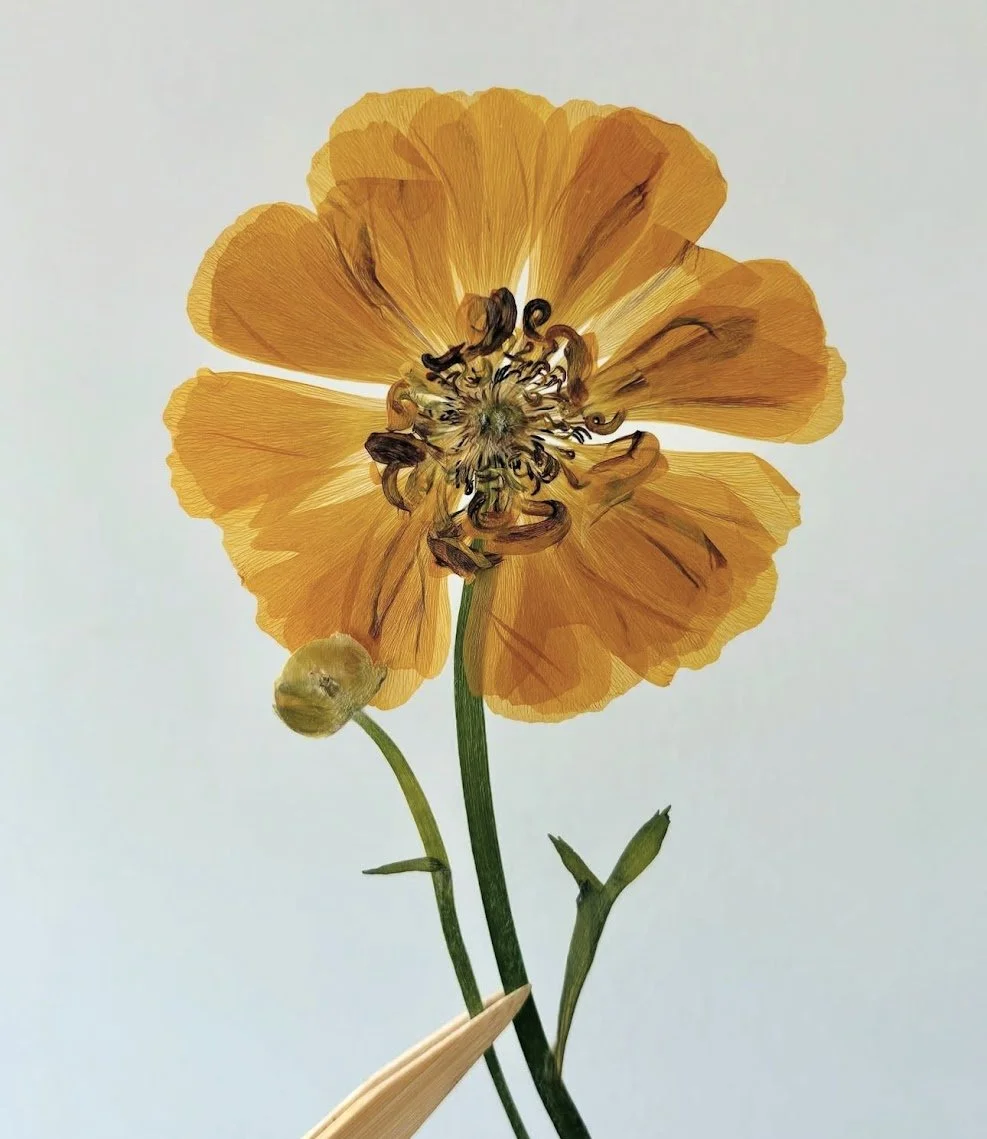 A yellow poppy flower with dark stamen and a small green bud on a light background.