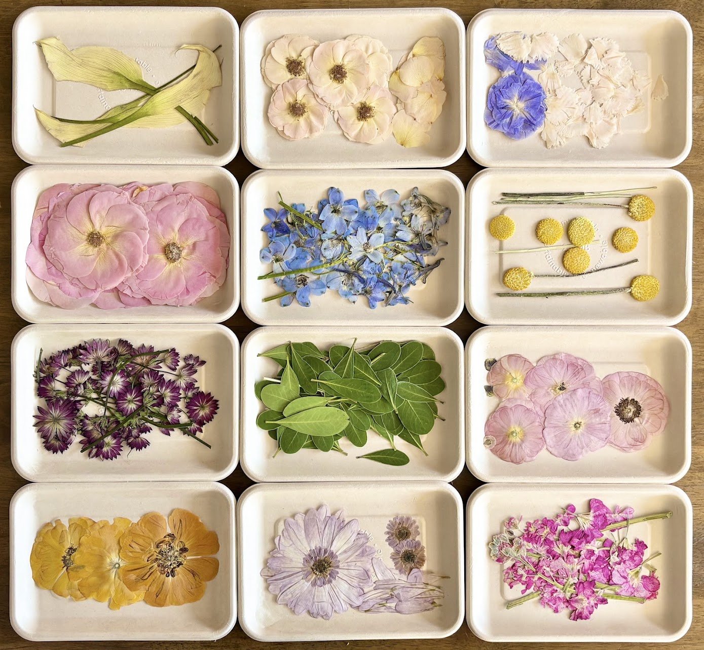 A collection of pressed flowers and leaves organized in white trays. The flowers vary in colors including pink, blue, purple, yellow, and white, with different petal arrangements and sizes. Some trays also contain green leaves.