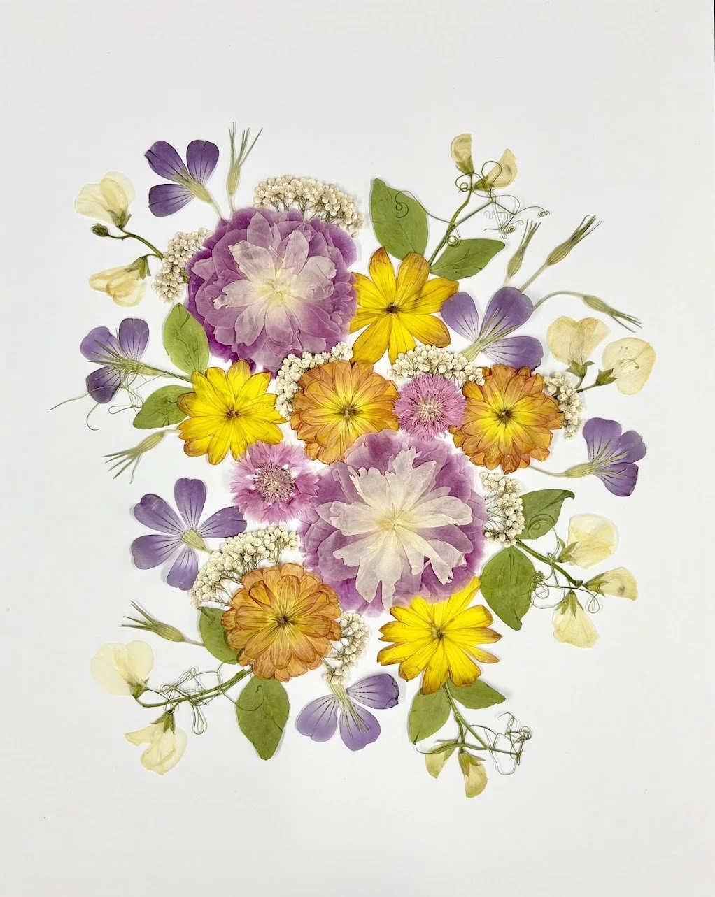 Arrangement of various colorful flowers on a white background.