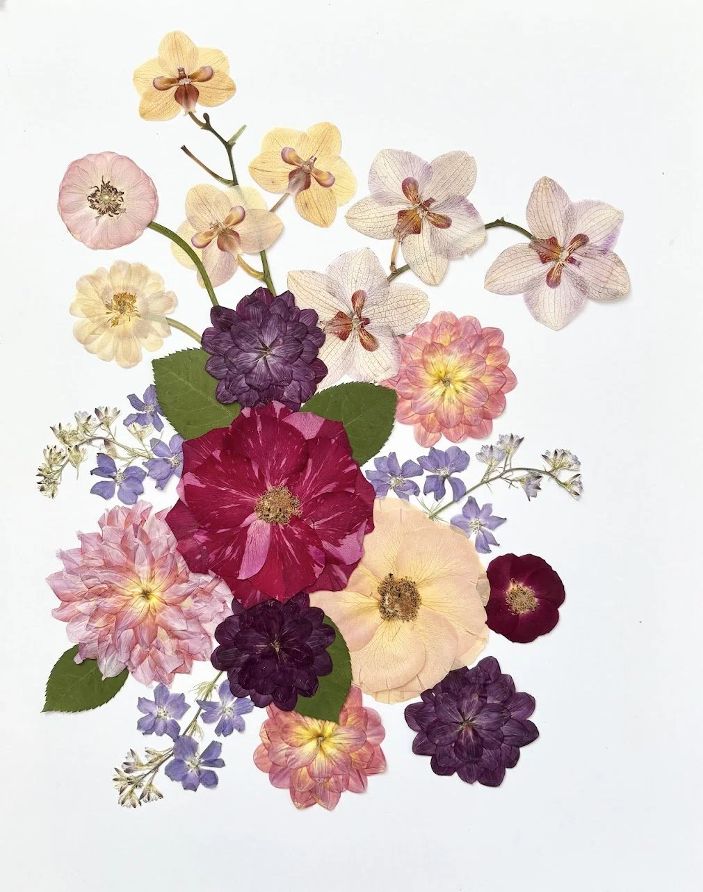 A flat lay of various colorful flowers arranged on a white background, including peonies, hydrangeas, and daisies in shades of pink, purple, yellow, and red.
