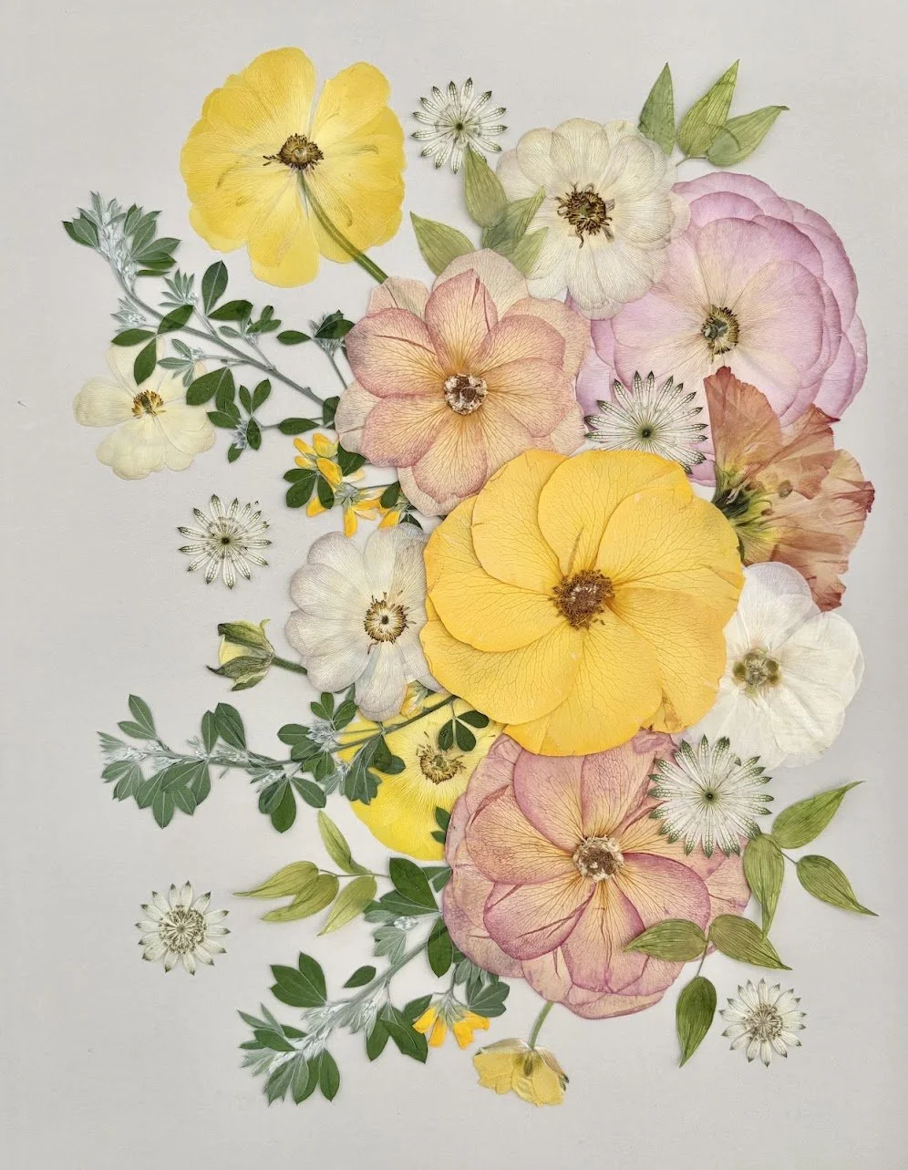 A colorful arrangement of pressed flowers including yellow, white, pink, and peach blooms, with green leaves and small white filler flowers, displayed against a white background.