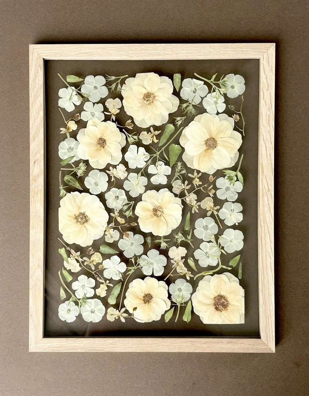 Pressed white and cream-colored flowers arranged in a shadow box frame on a wall.