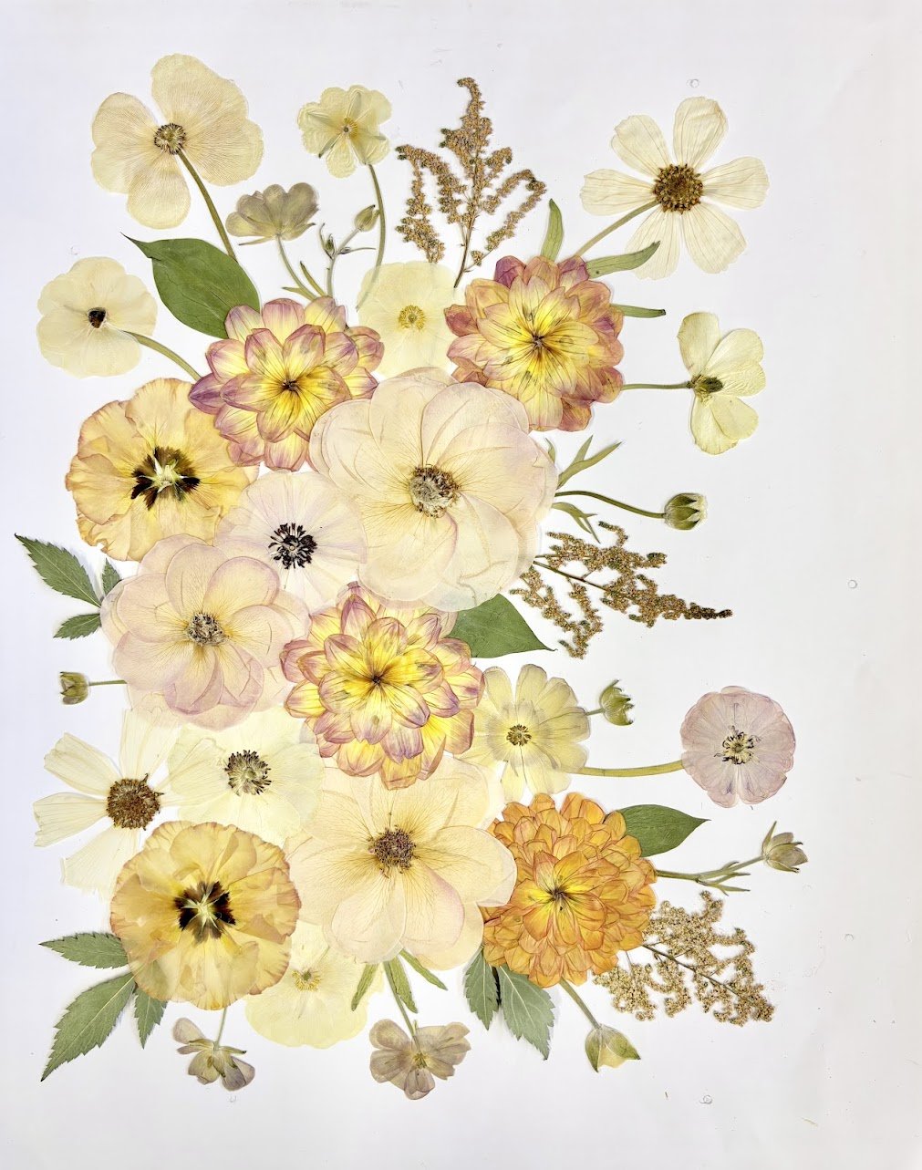 A delicate arrangement of pressed flowers, including yellow, cream, and orange blooms, with green leaves and small stems, on a white background.
