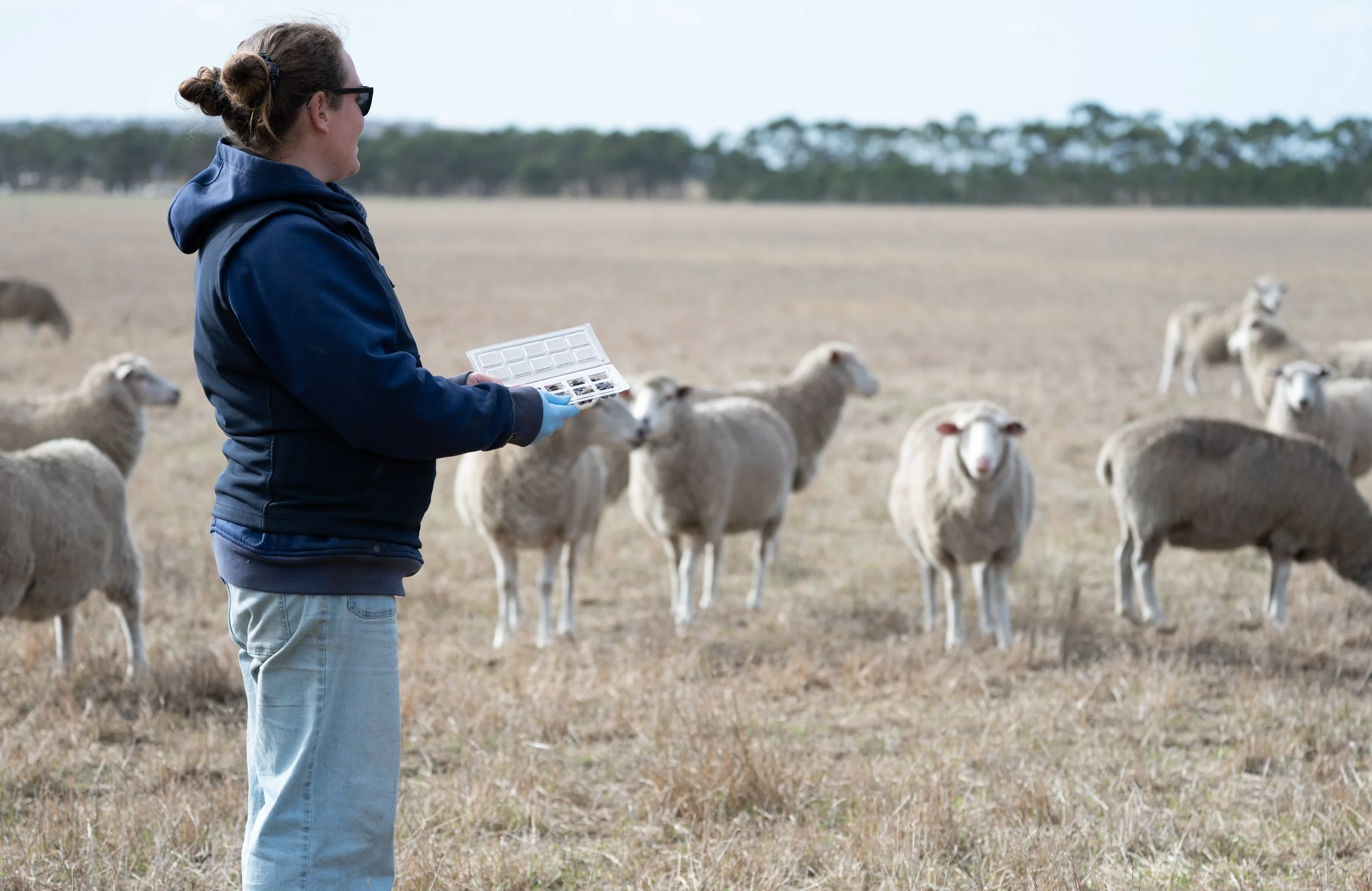 Custom Animal Health Program and Monitoring