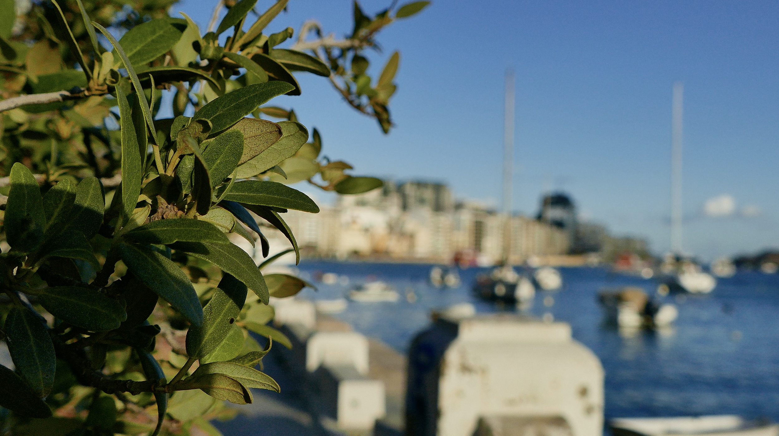 Malta Blues