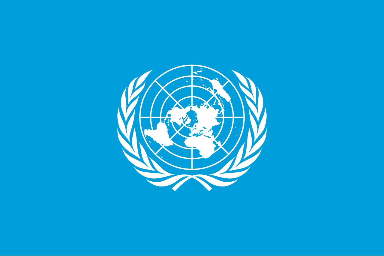 United Nations Association Comms