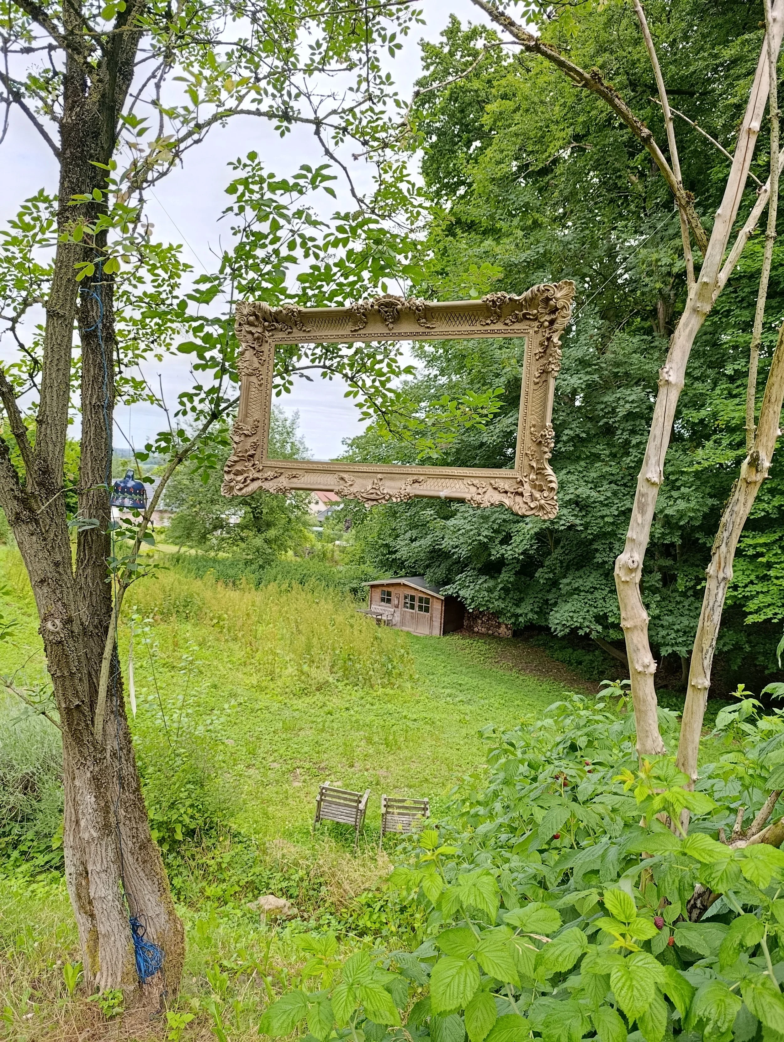 Bilderrahmen hängt zwischen zwei Bäumen. Viel Natur und Grün beruhigt das Nervensystem.