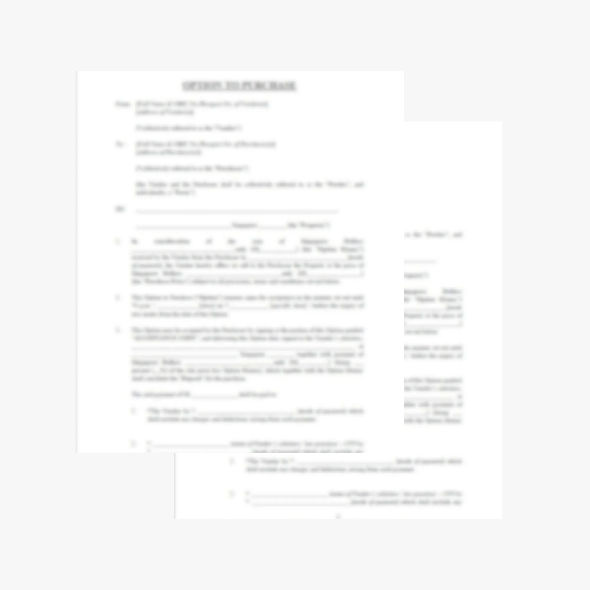 Blurred document on a computer screen.