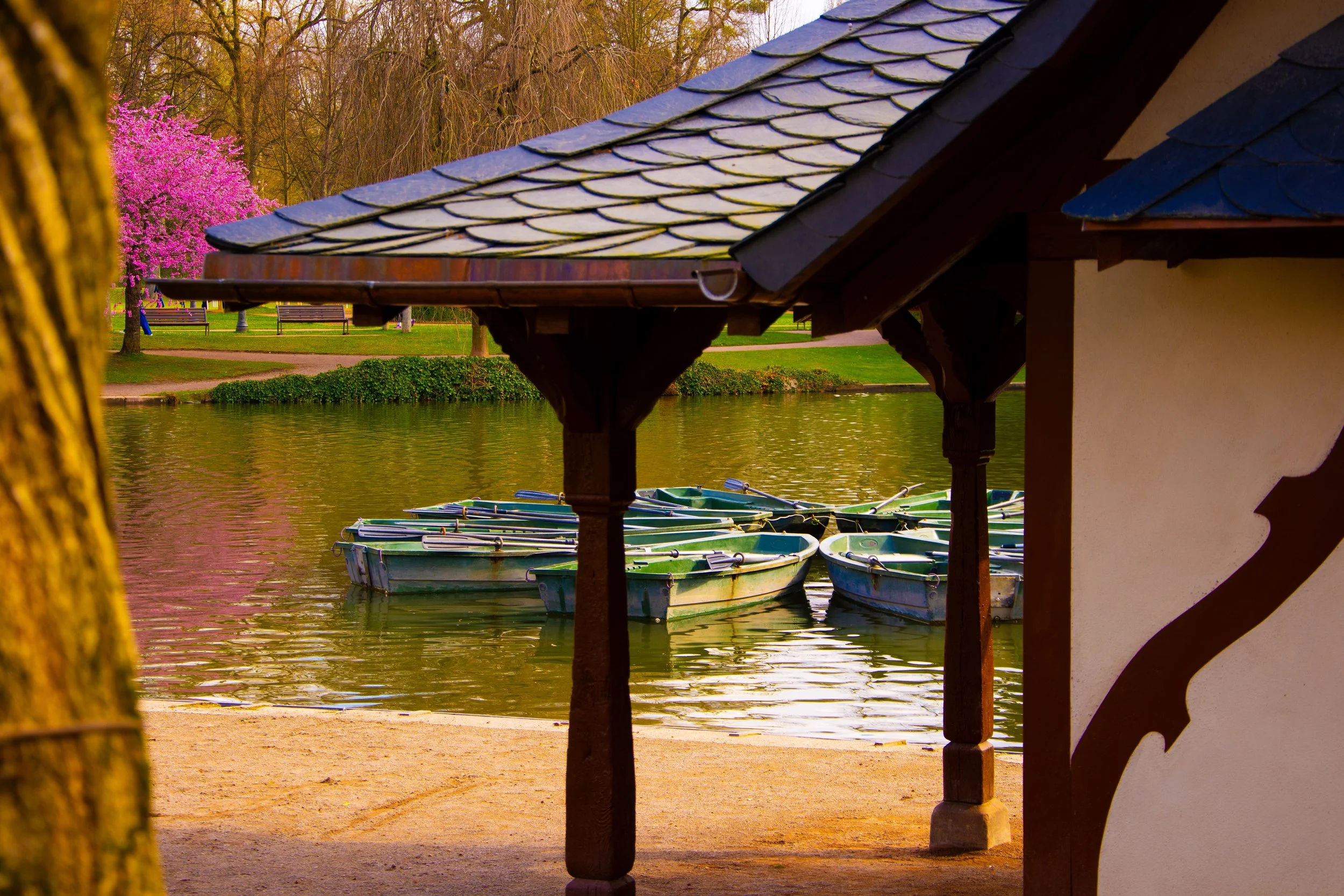 Boats docked by a lakeside, framed by a small structure with a blue tiled roof, trees, and a pink blossoming tree in the background.