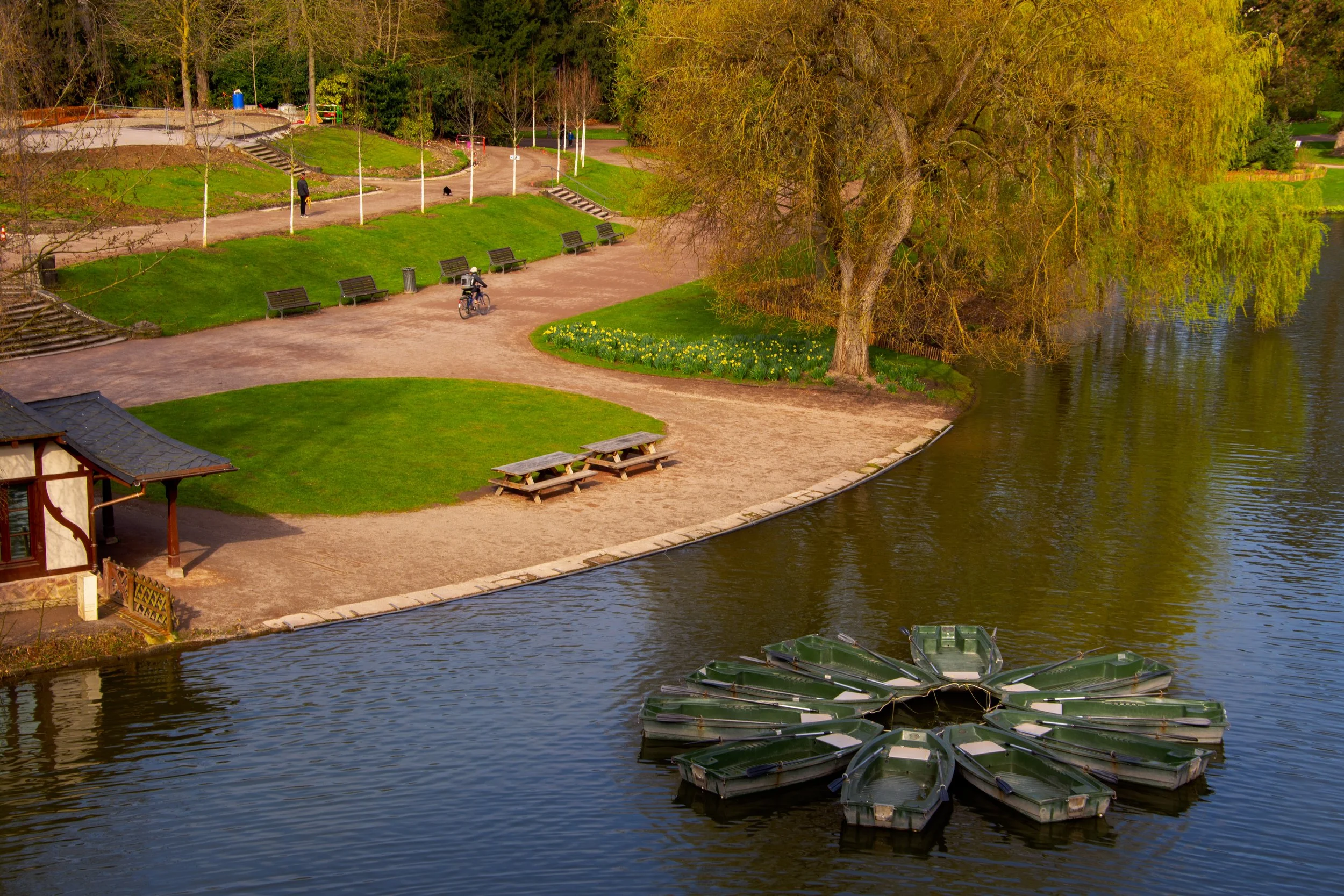 A park by a lake with several green pedal boats arranged in a circle, a sandy pathway, benches, trees, and a person riding a bicycle along the path.