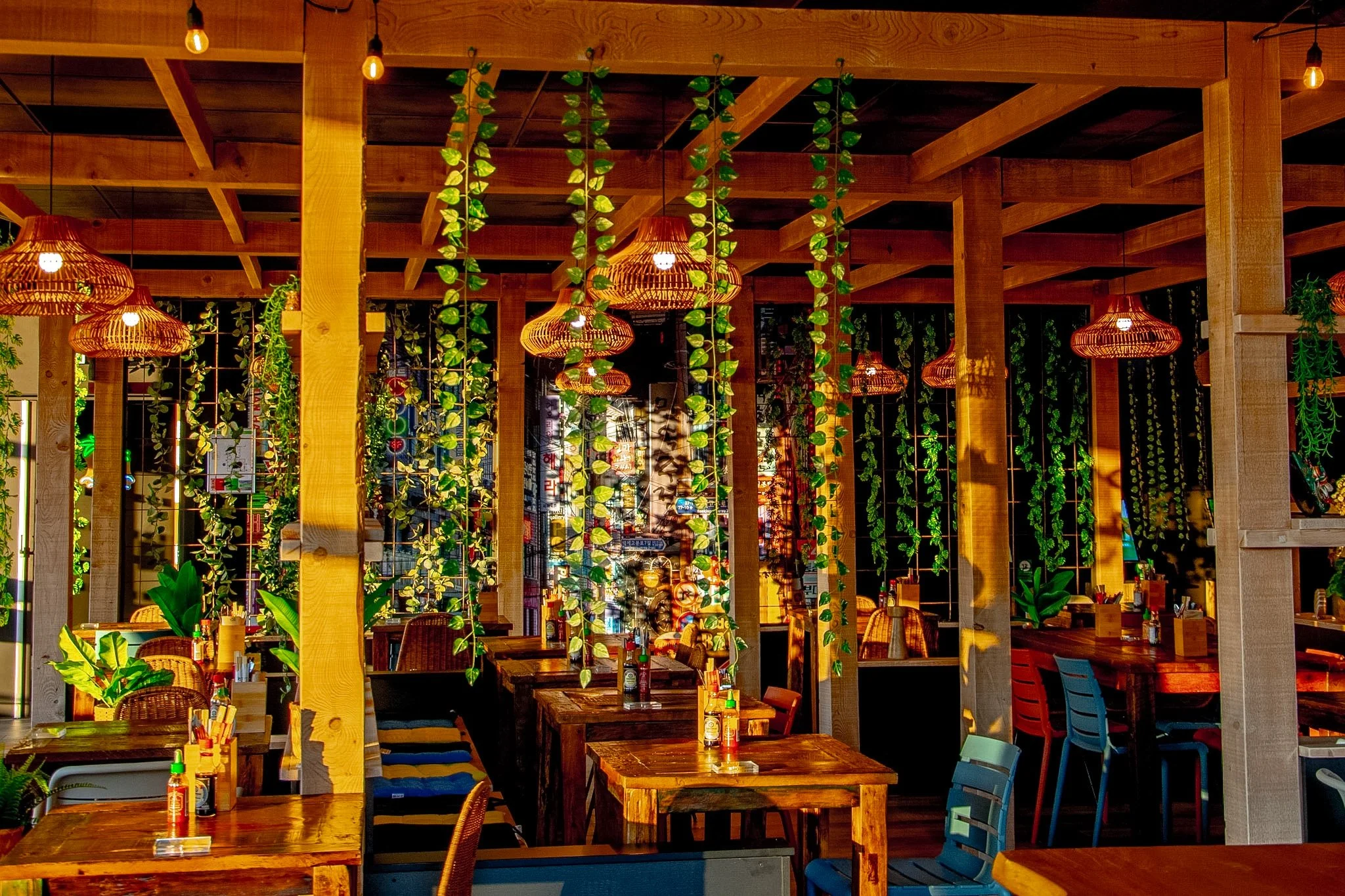 Interior of a restaurant with wooden tables and chairs, hanging wicker lamps, green hanging plants, and sunlight streaming through the windows.