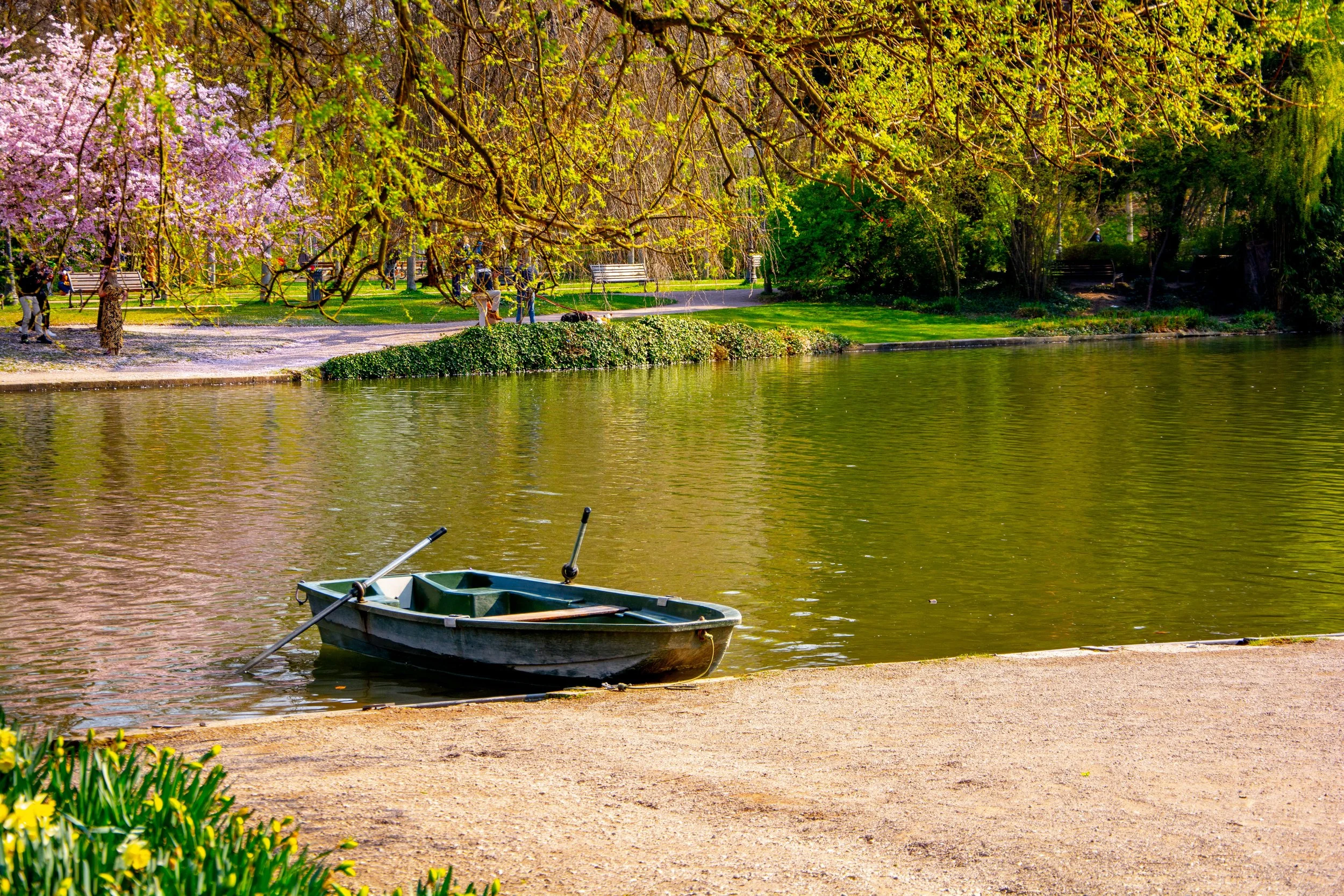 A small green rowboat resting on the sandy bank of a pond, surrounded by lush trees and vibrant spring flowers, with people walking and sitting on benches in the background.