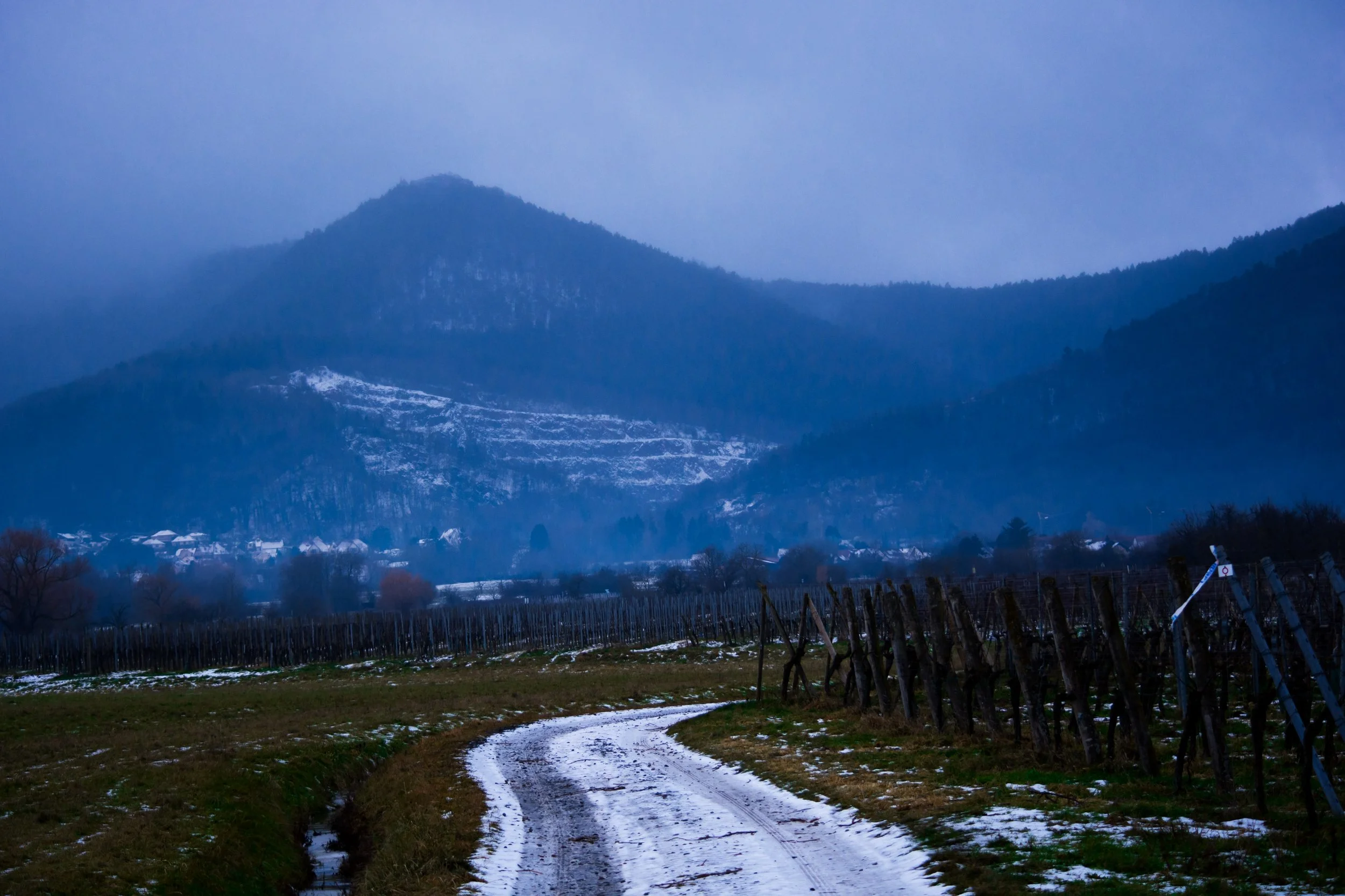 A dirt path winding through a rural landscape with snow on the ground, surrounded by vineyard fences, with forested hills and mountains in the background under a cloudy, blue-gray sky.