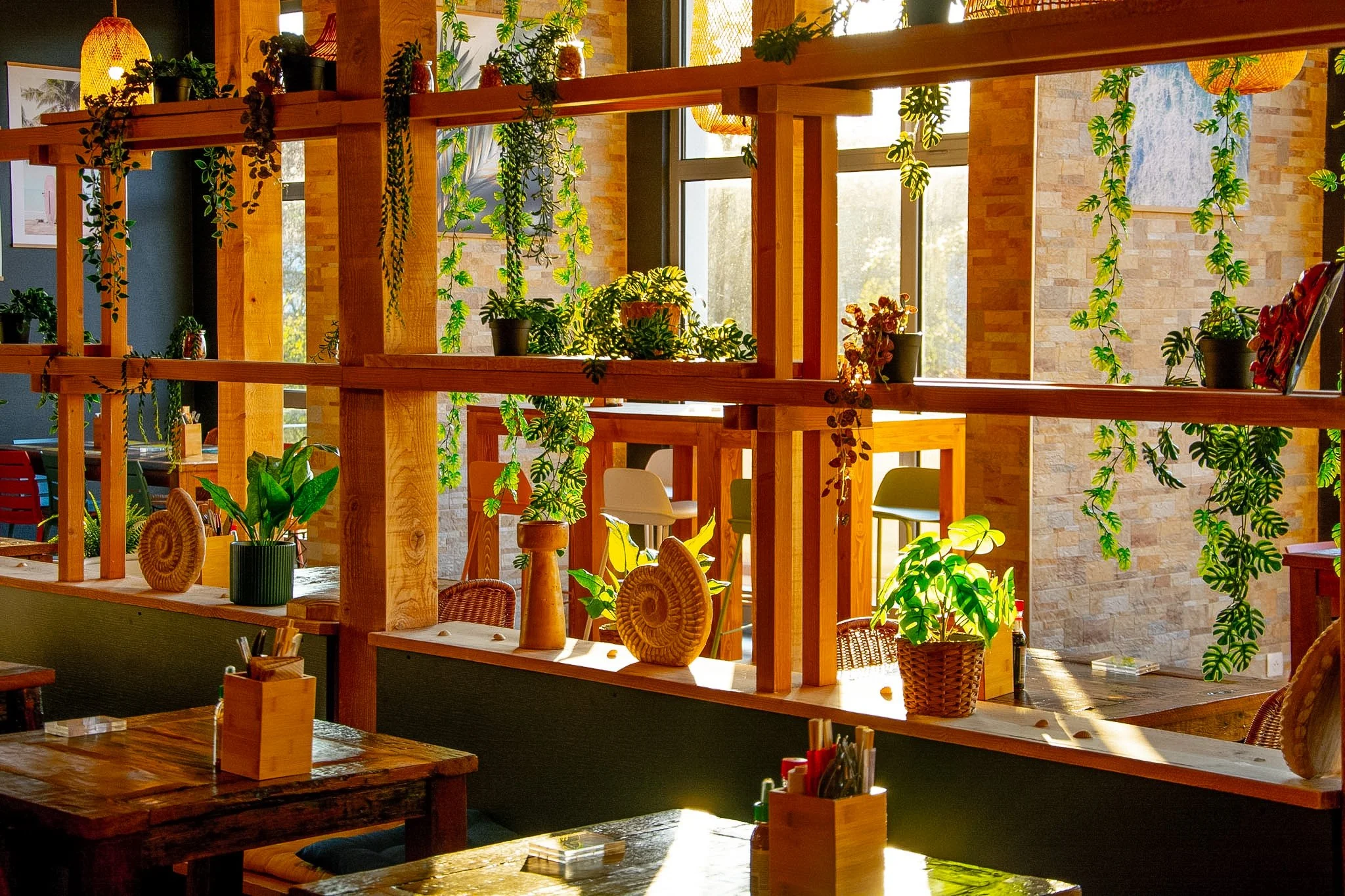 Interior of a cozy cafe with wooden and green decor, potted plants, decorative shells, and barstools near large windows.