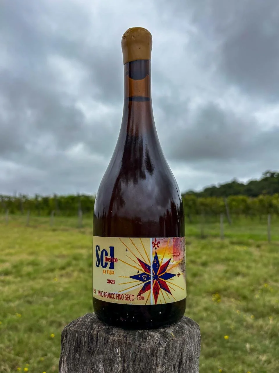 Sol Ibérico .jpg