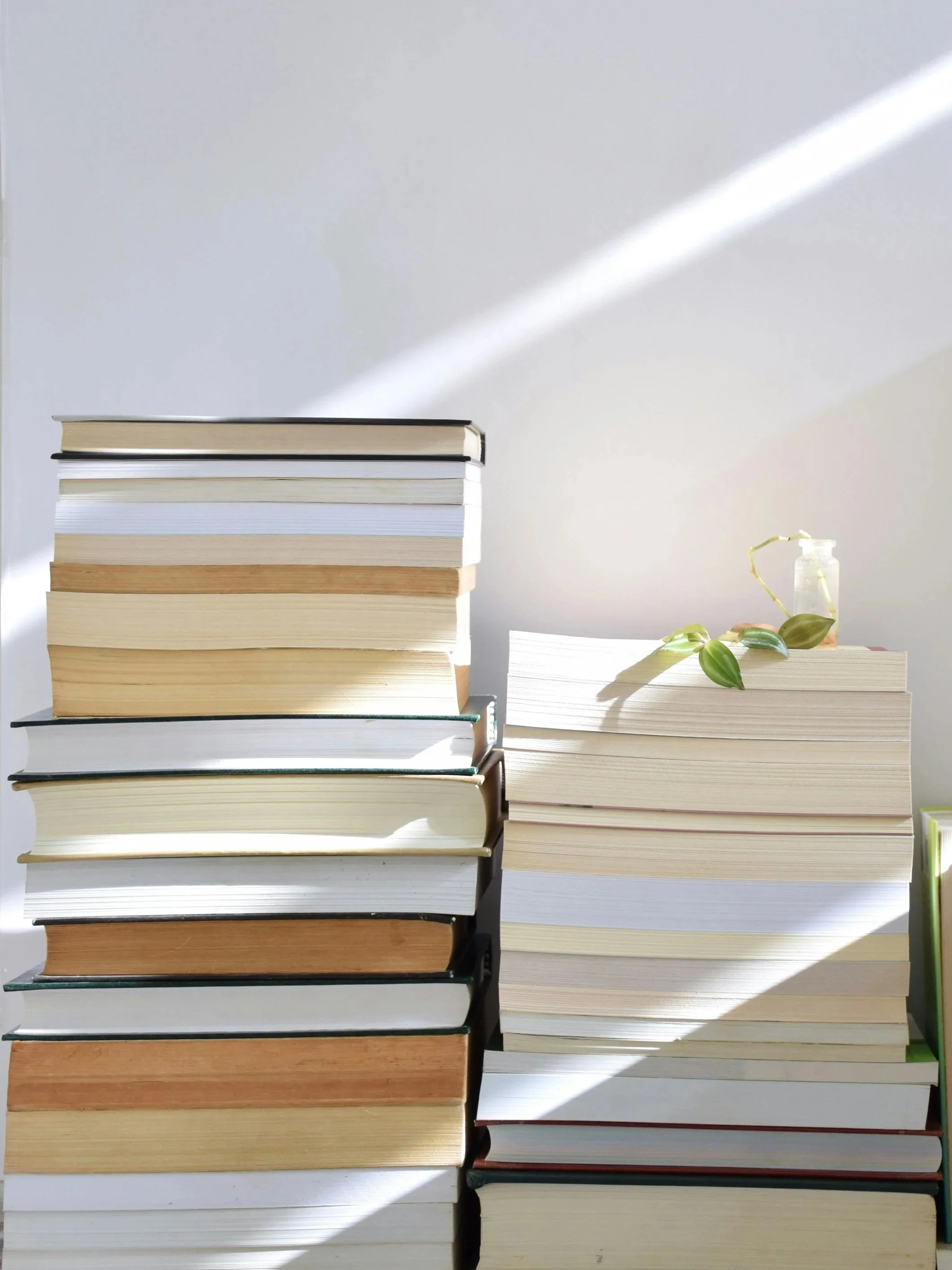 Middle Fiction Assessment