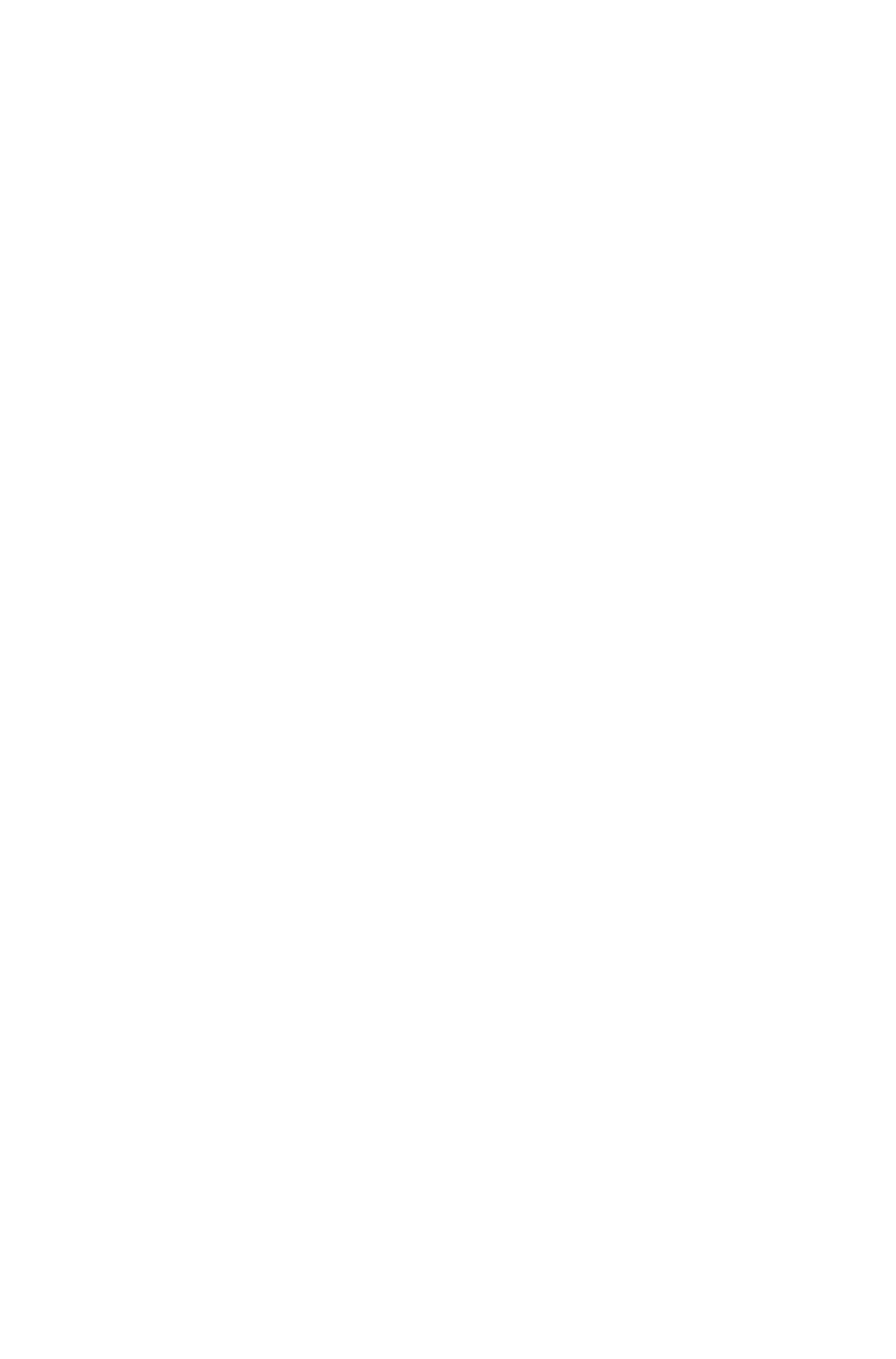 The Many Cats Studios logo, showing a cat made out of the letters M and C.