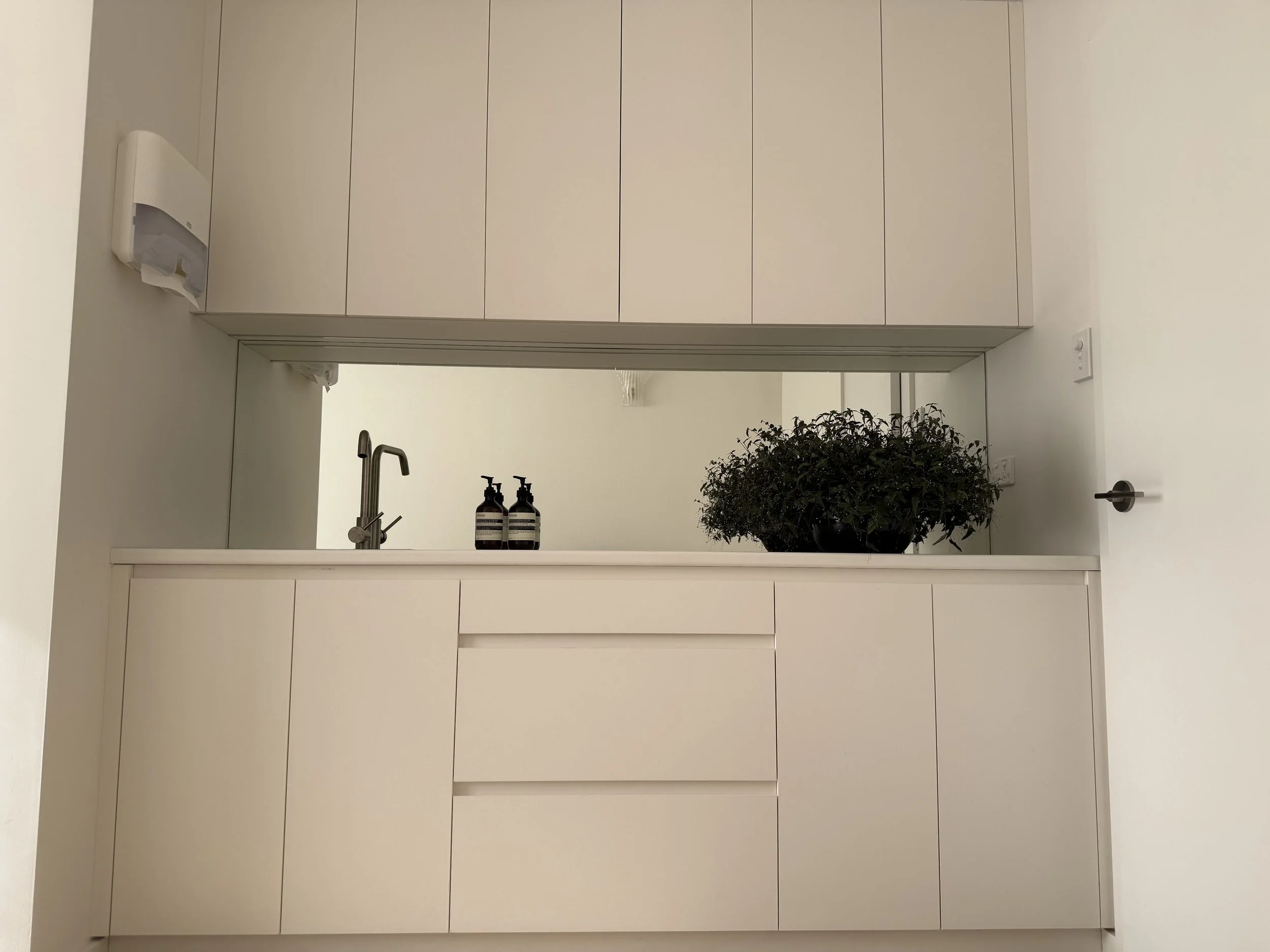 A minimalistic interior with white cabinets, a mirror, a plant, and a dual soap dispenser on a countertop.