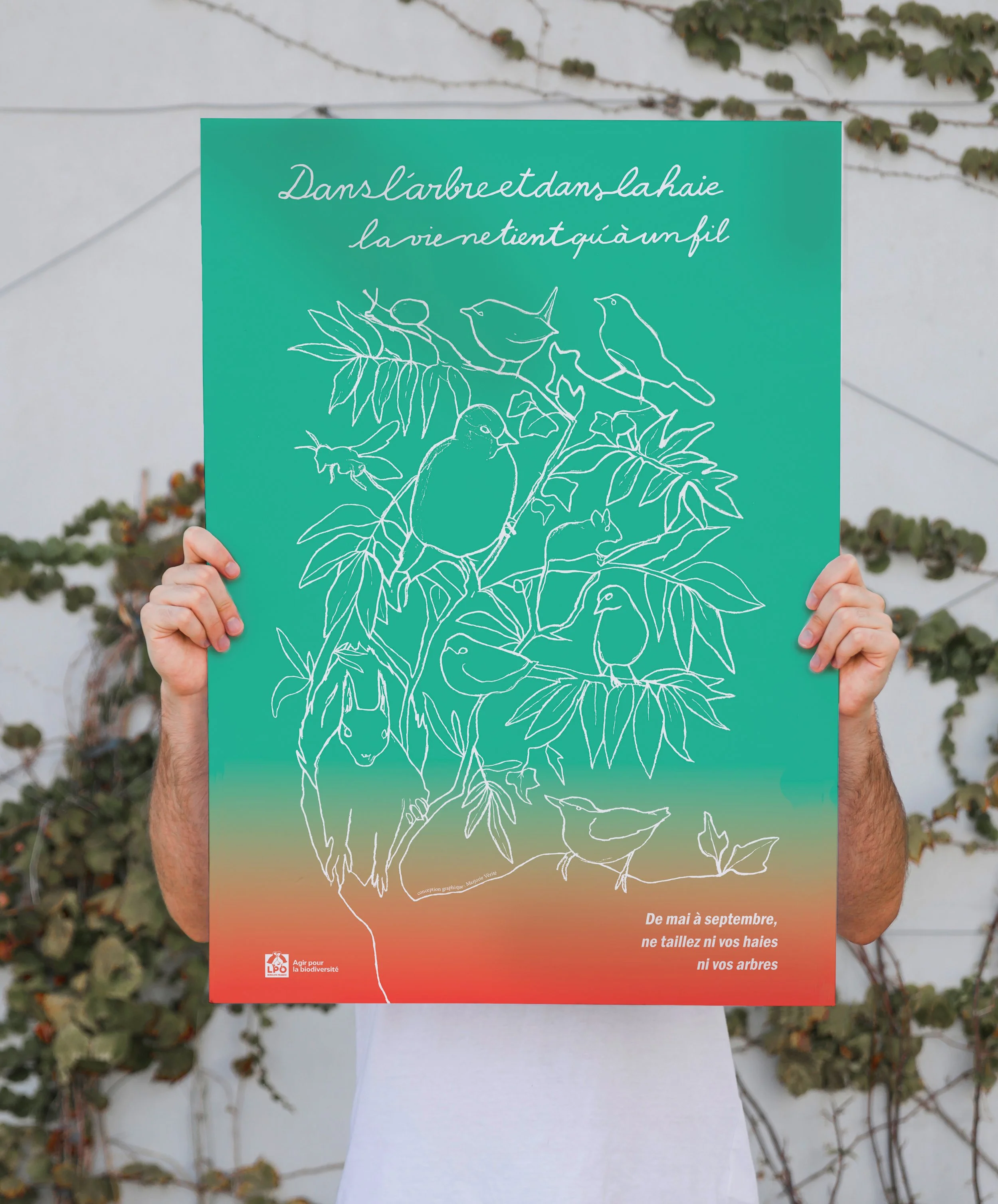 Affiches pour la LPO
