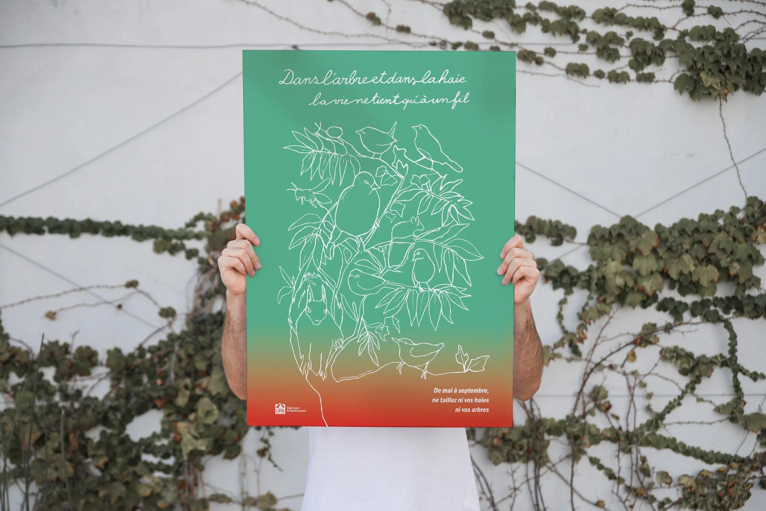 Affiches pour la LPO