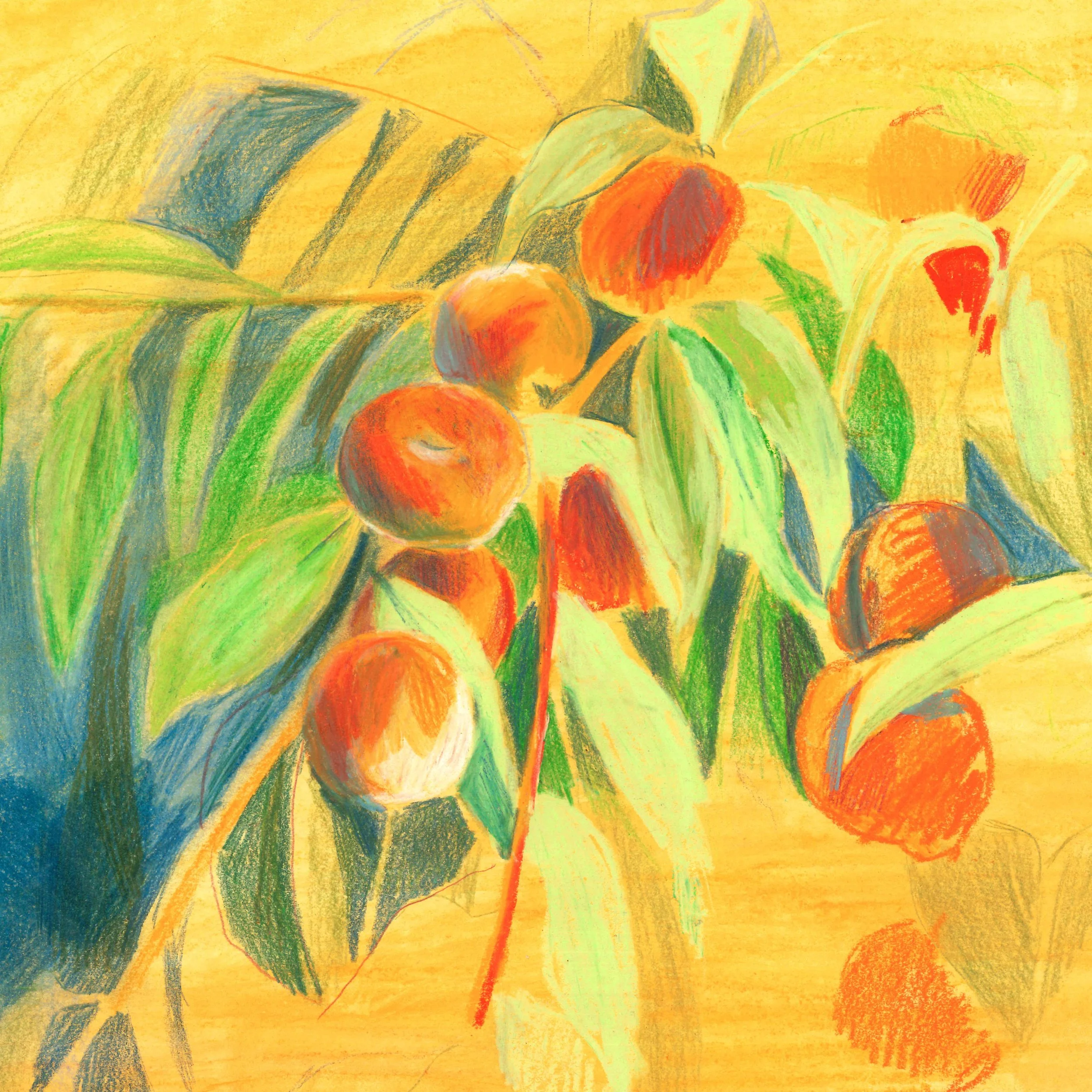 Mandarinas
Craies grasses