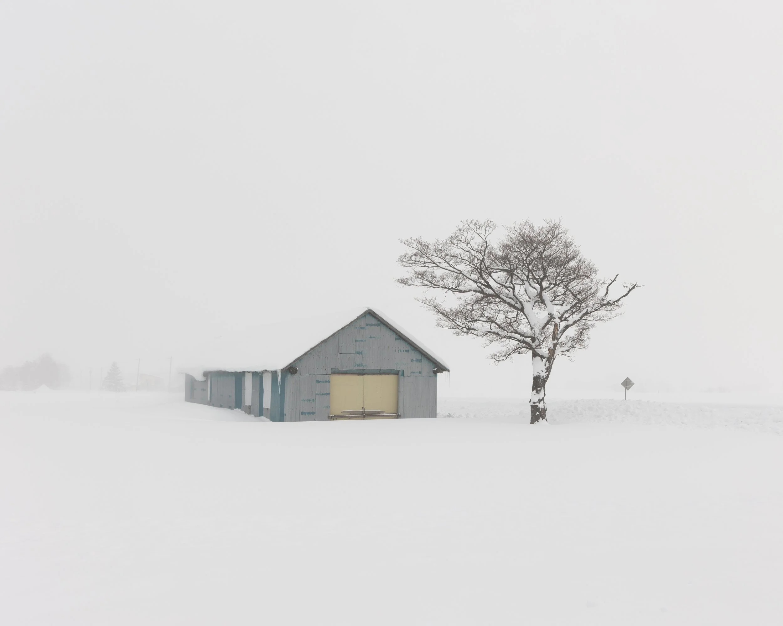A snow-covered landscape with a small, weathered building and a leafless tree beside it, in foggy winter conditions.