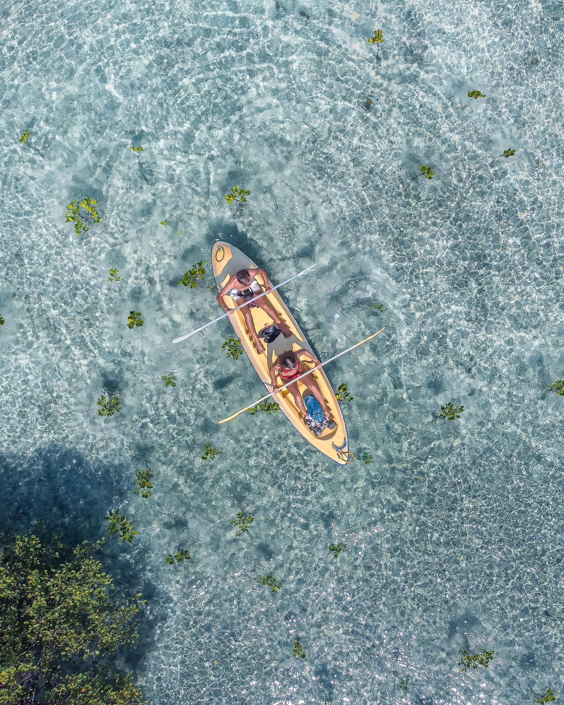 Two people are kayaking on clear, shallow water with small green plants scattered across the surface.