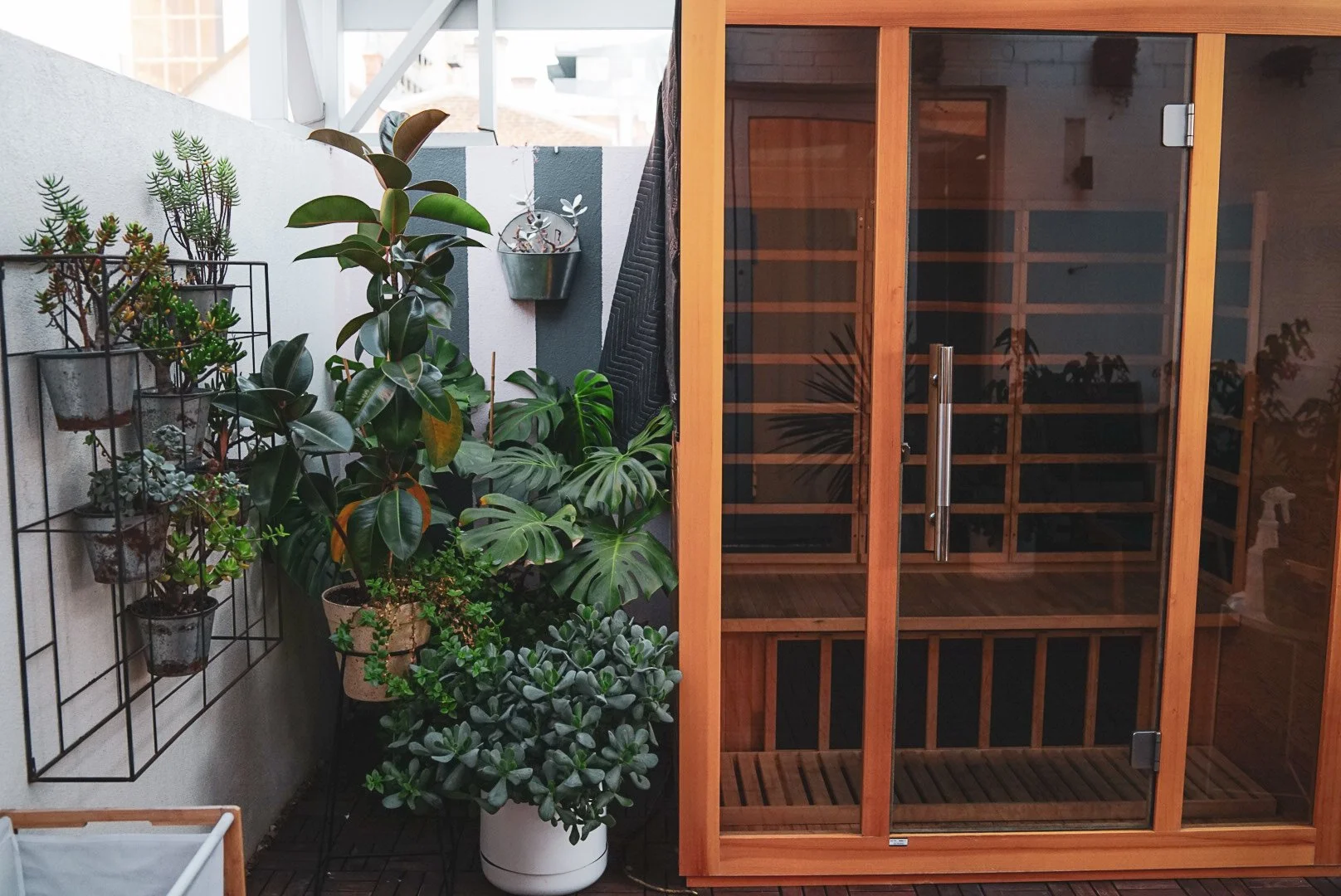 A balcony with a variety of potted plants including succulents, a rubber plant, and other foliage, alongside a wooden and glass sauna cabinet.
