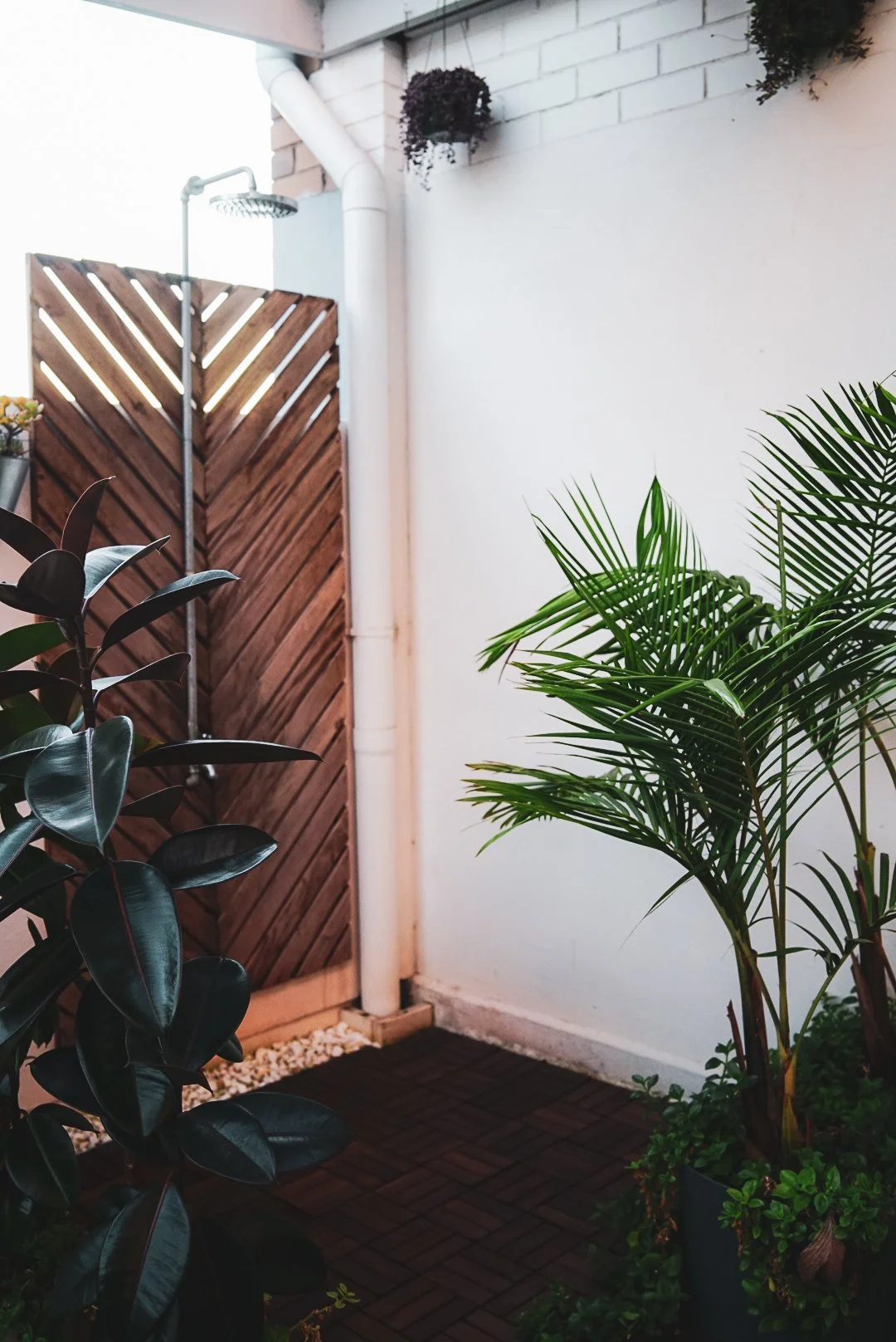 A small outdoor patio with tropical plants, a wooden privacy screen, a white wall, a drainpipe, and outdoor showerhead.