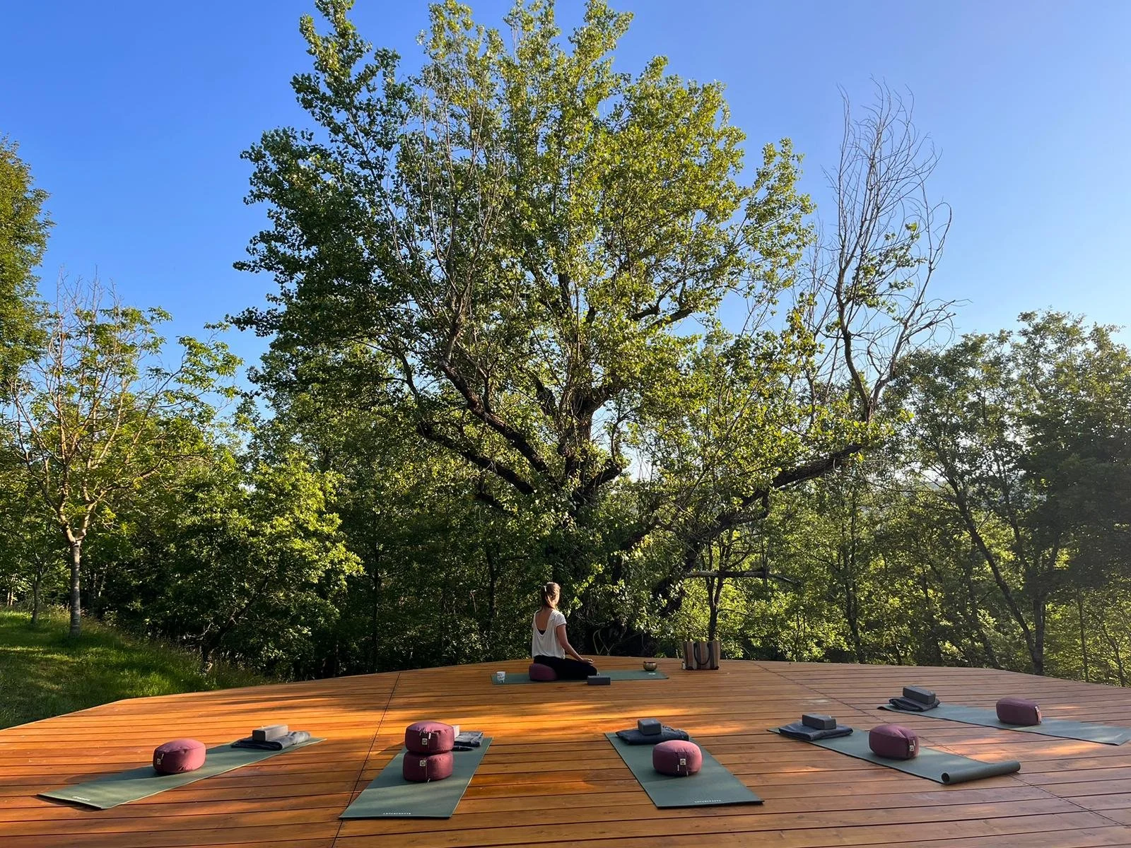 1. Yoga Deck_Tree.JPG