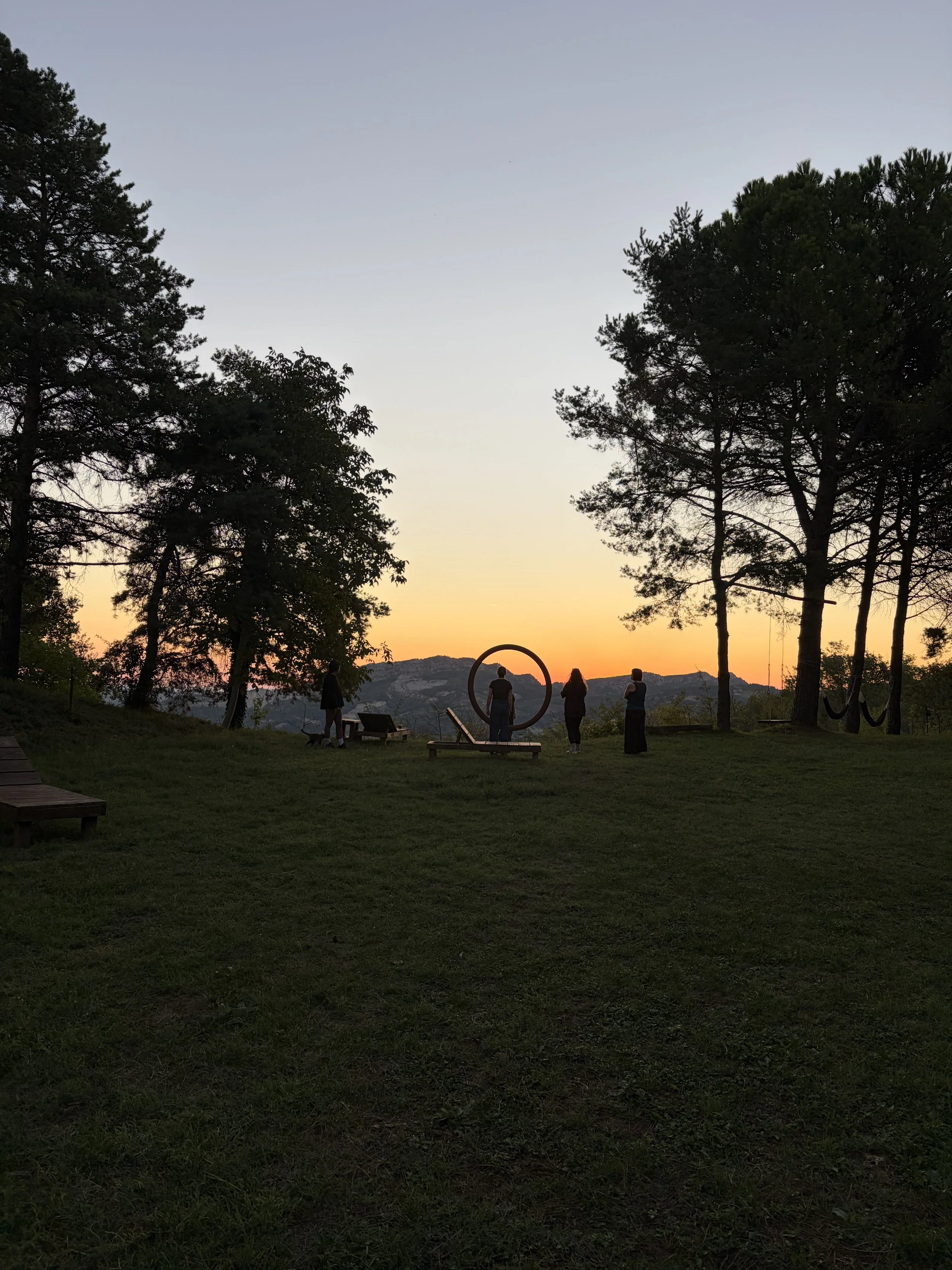 IMG_4134.jpeg