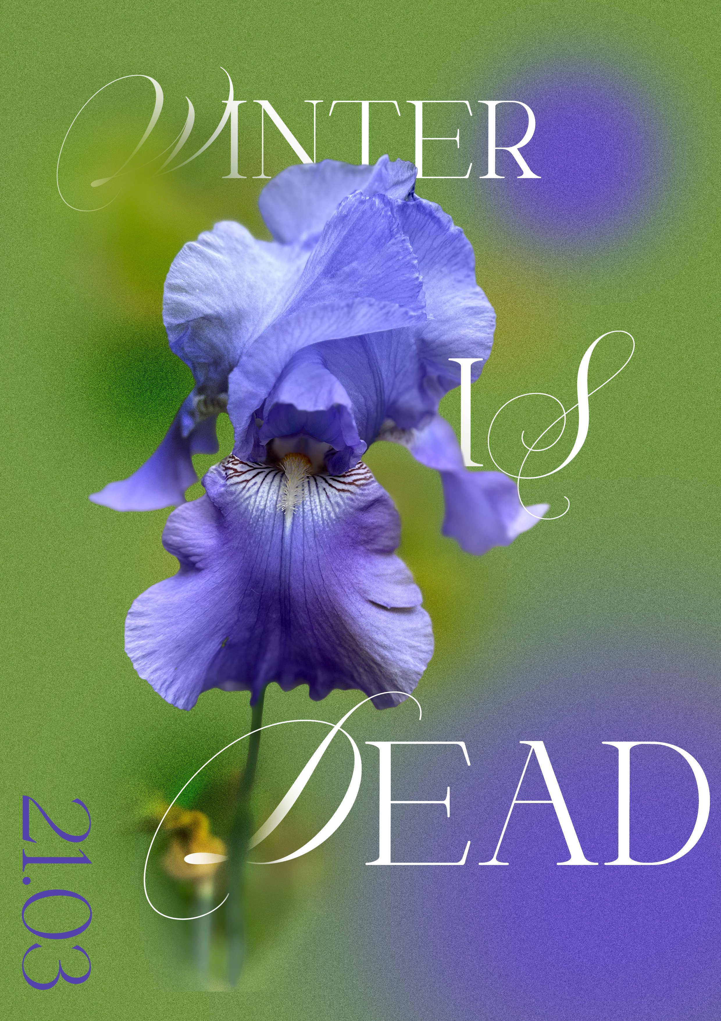Iris_poster.jpg