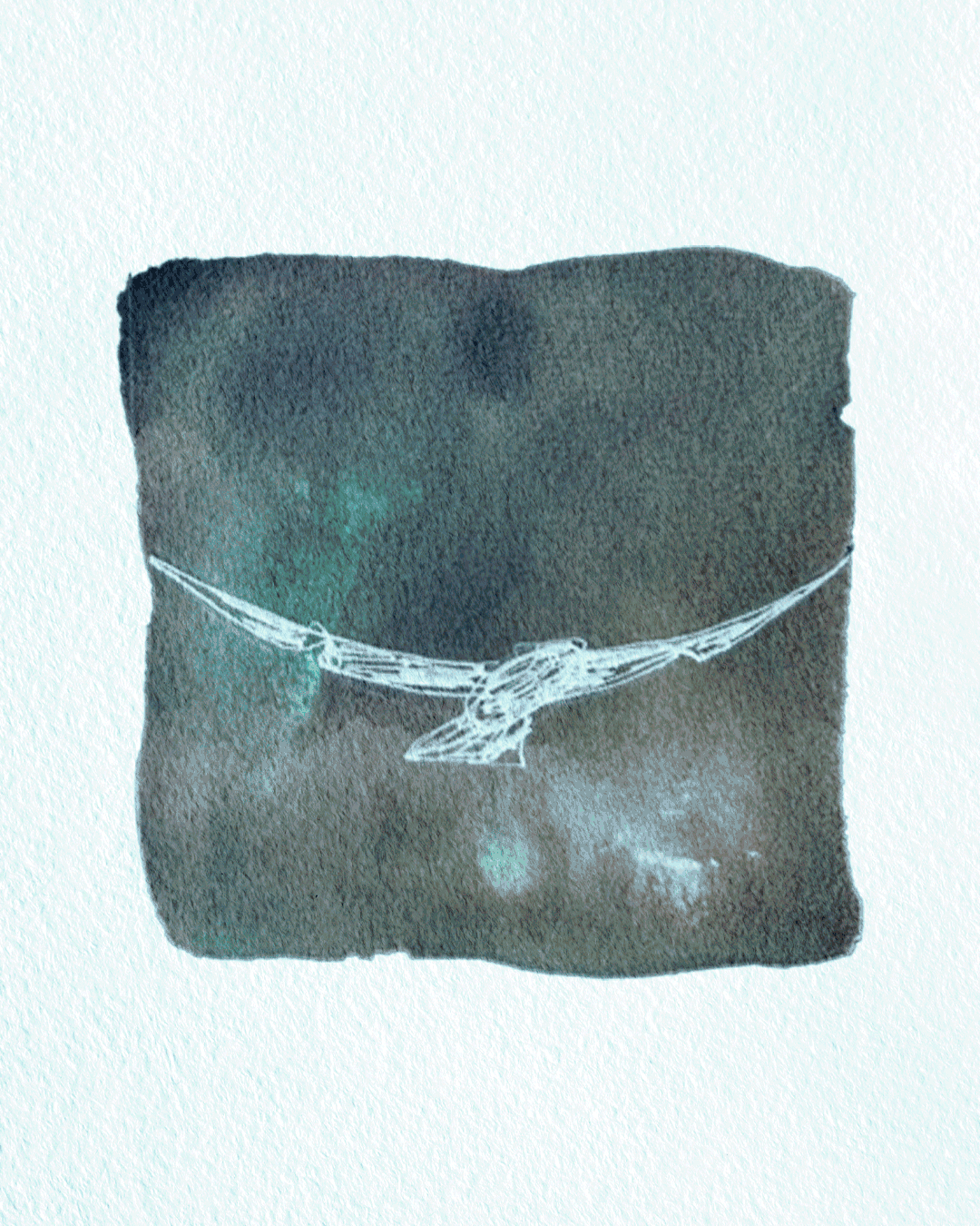 oiseau.gif