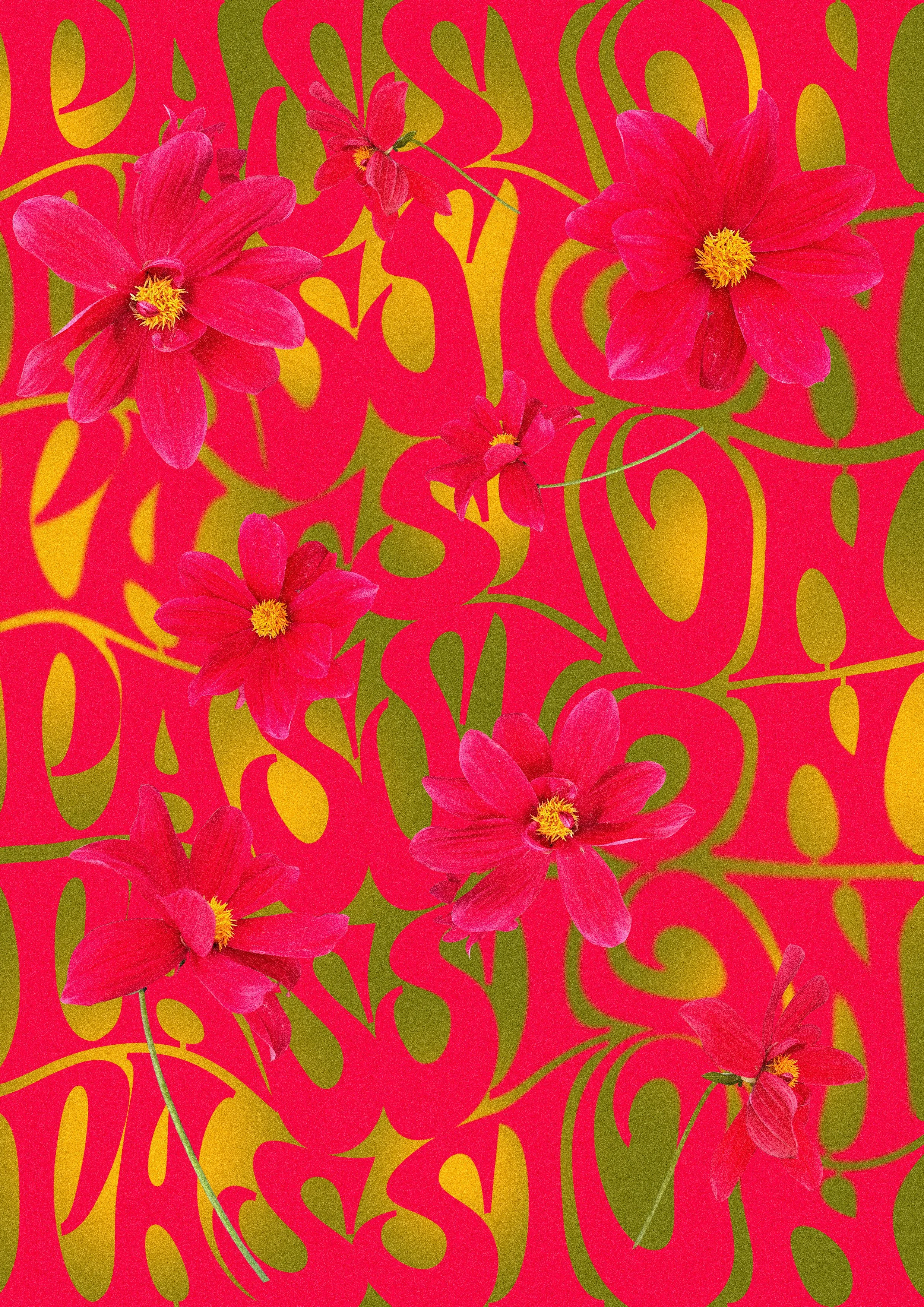 Tulip_yellow.jpg
