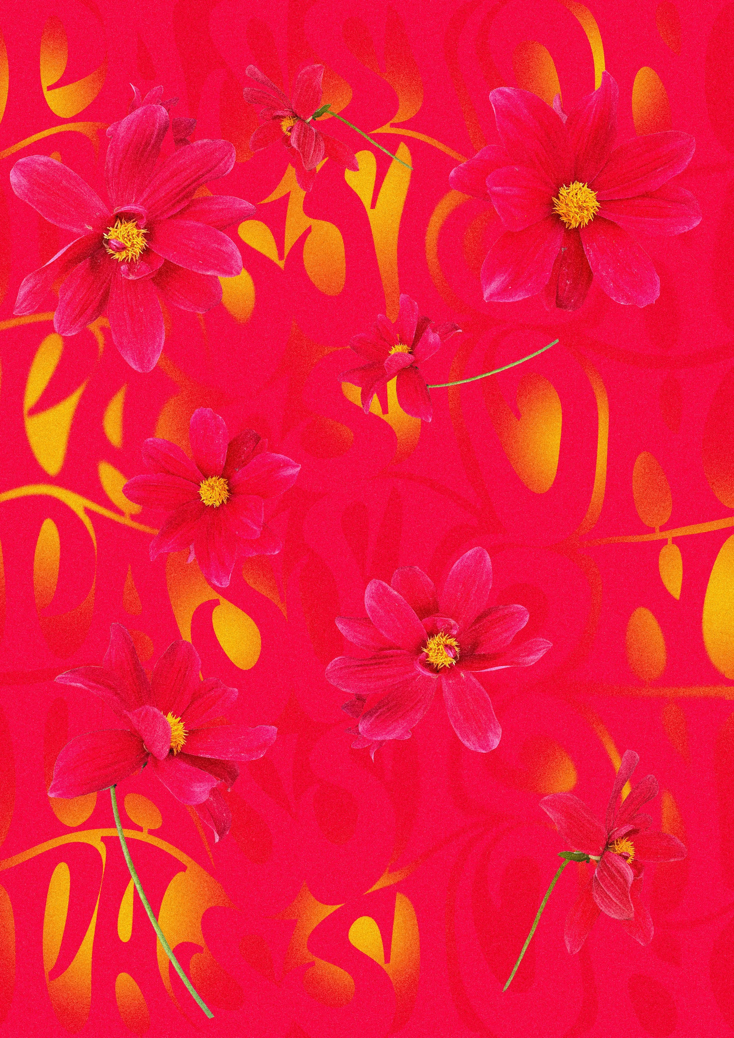Tulip_red.jpg