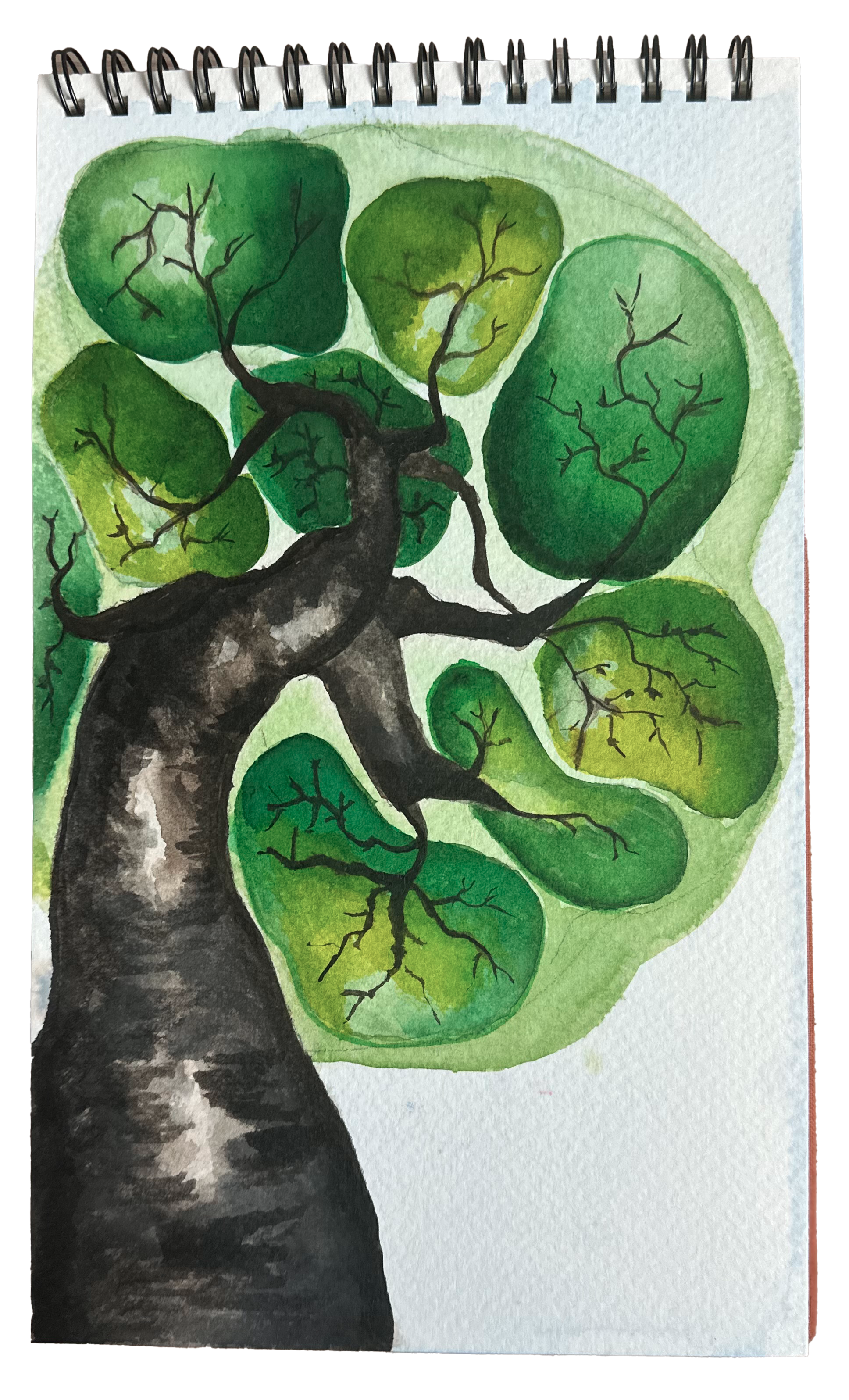 illustration_arbre.png