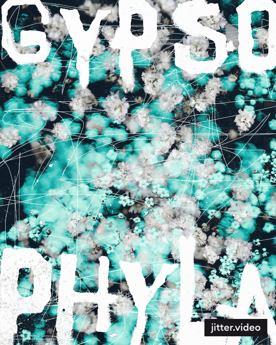 Scene-1.gif