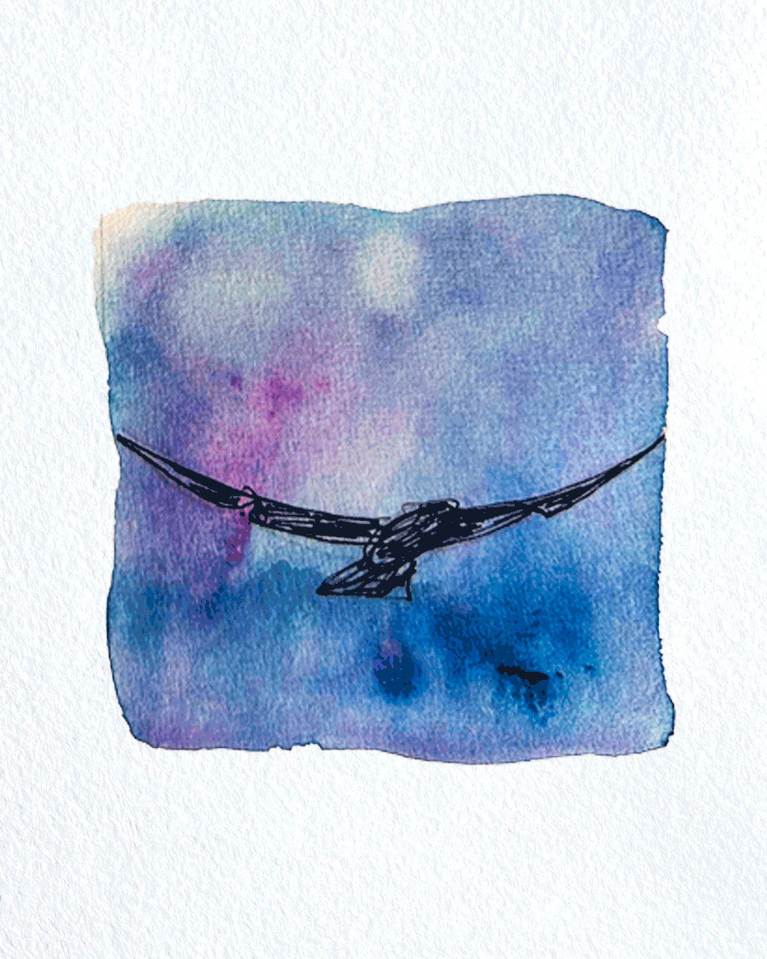 oiseau_vif.gif