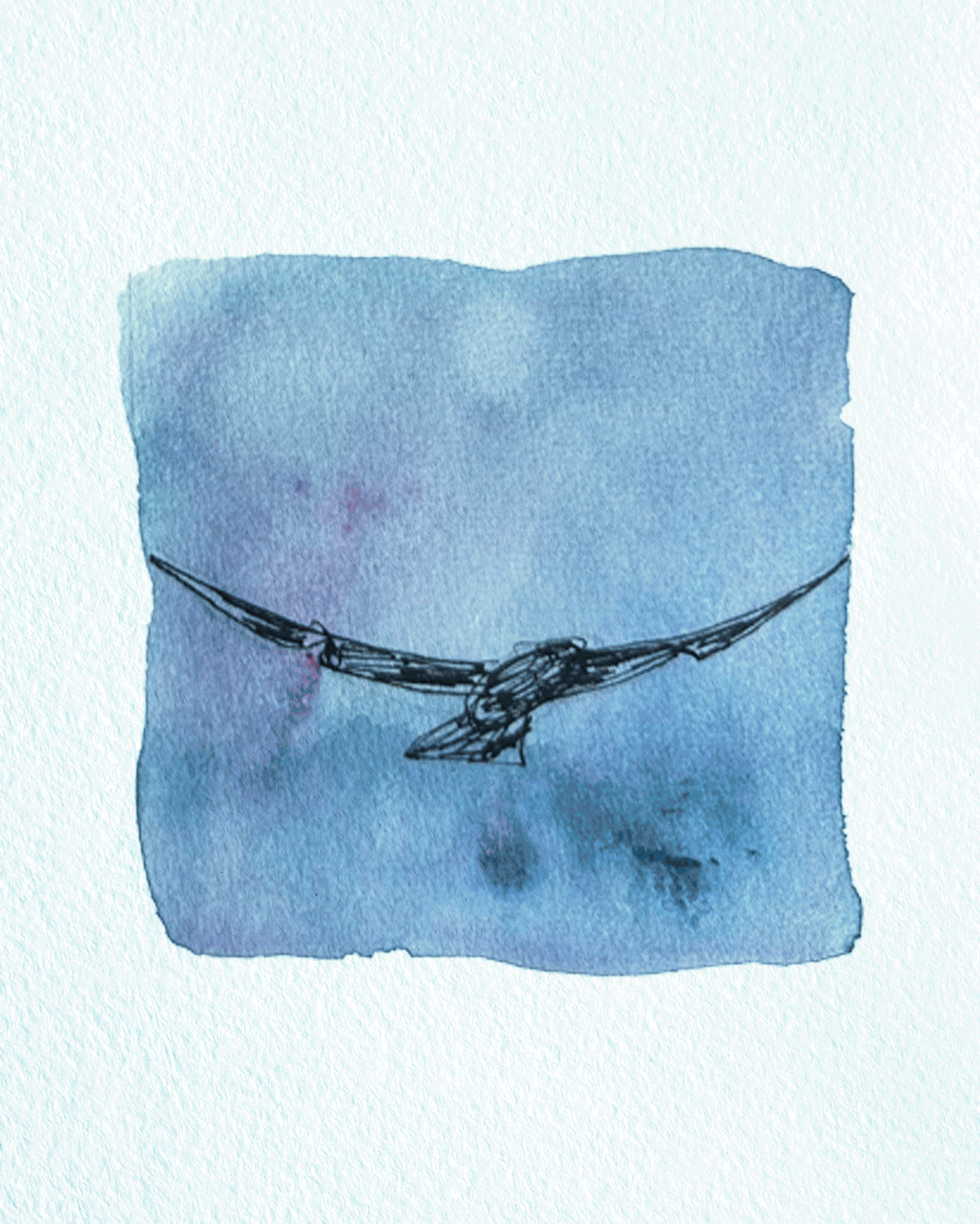 oiseau_couleurs.gif