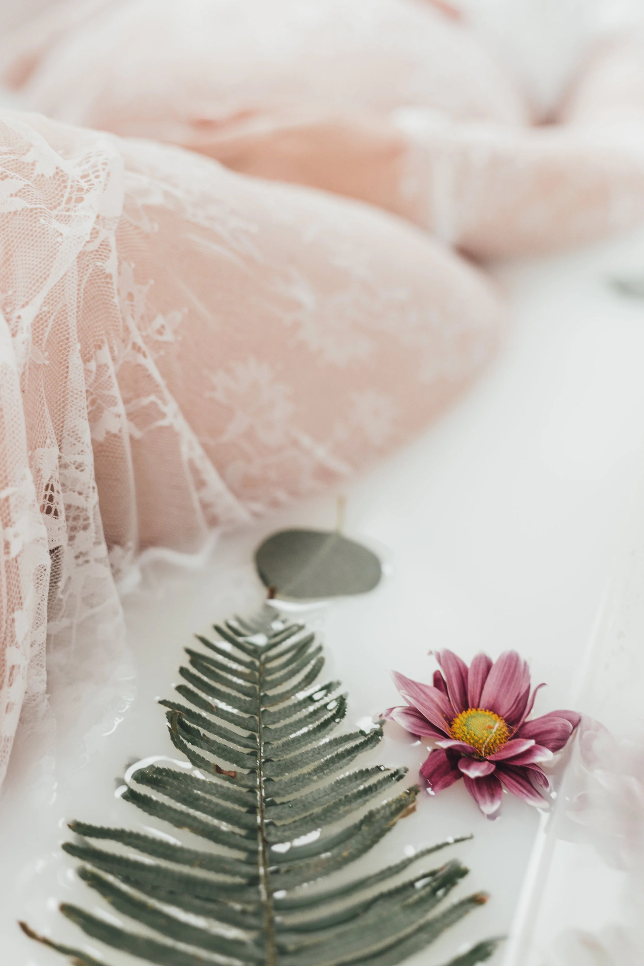 Une fleur rose, une feuille verte, une pièce de monnaie en forme de cœur, une lace couleur pêche, un fond blanc