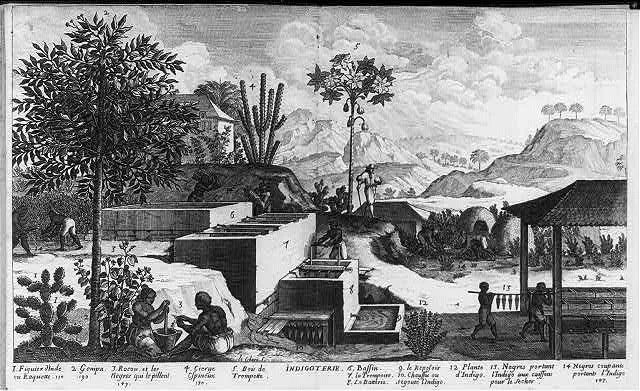 depicts a plantation in the West Indies it provides an example of the system of three vats that was used to produce indigo dye.